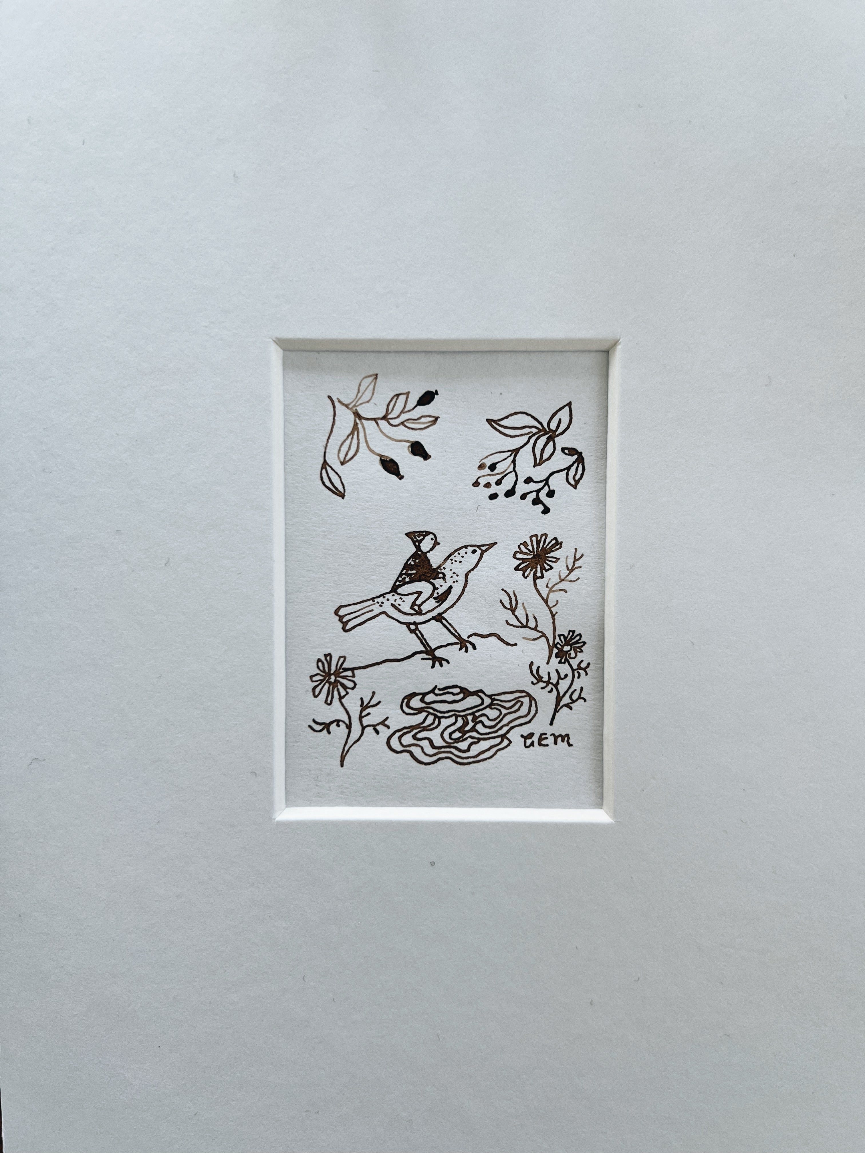 The Chaffinch: original ink drawing