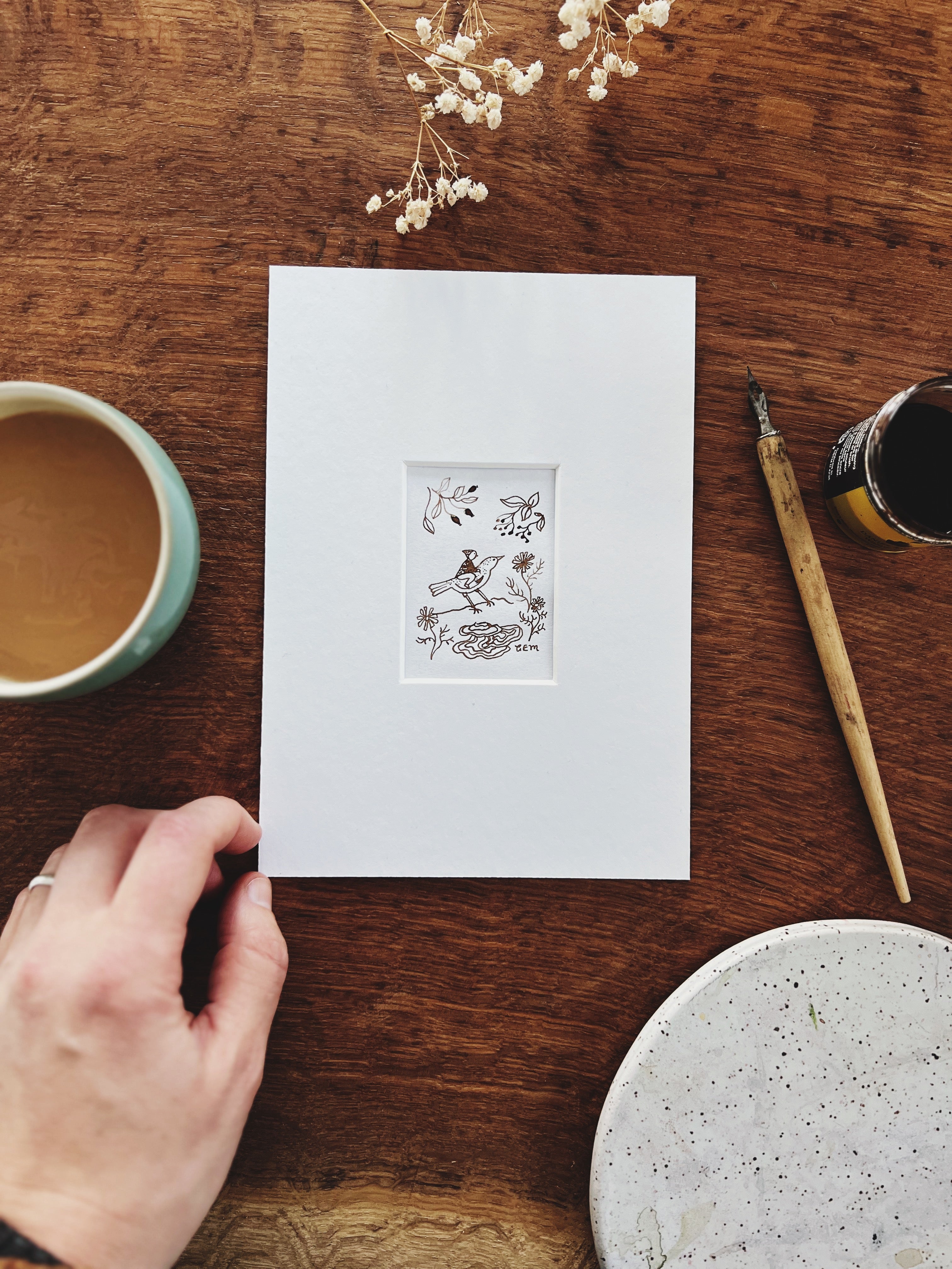 The Chaffinch: original ink drawing