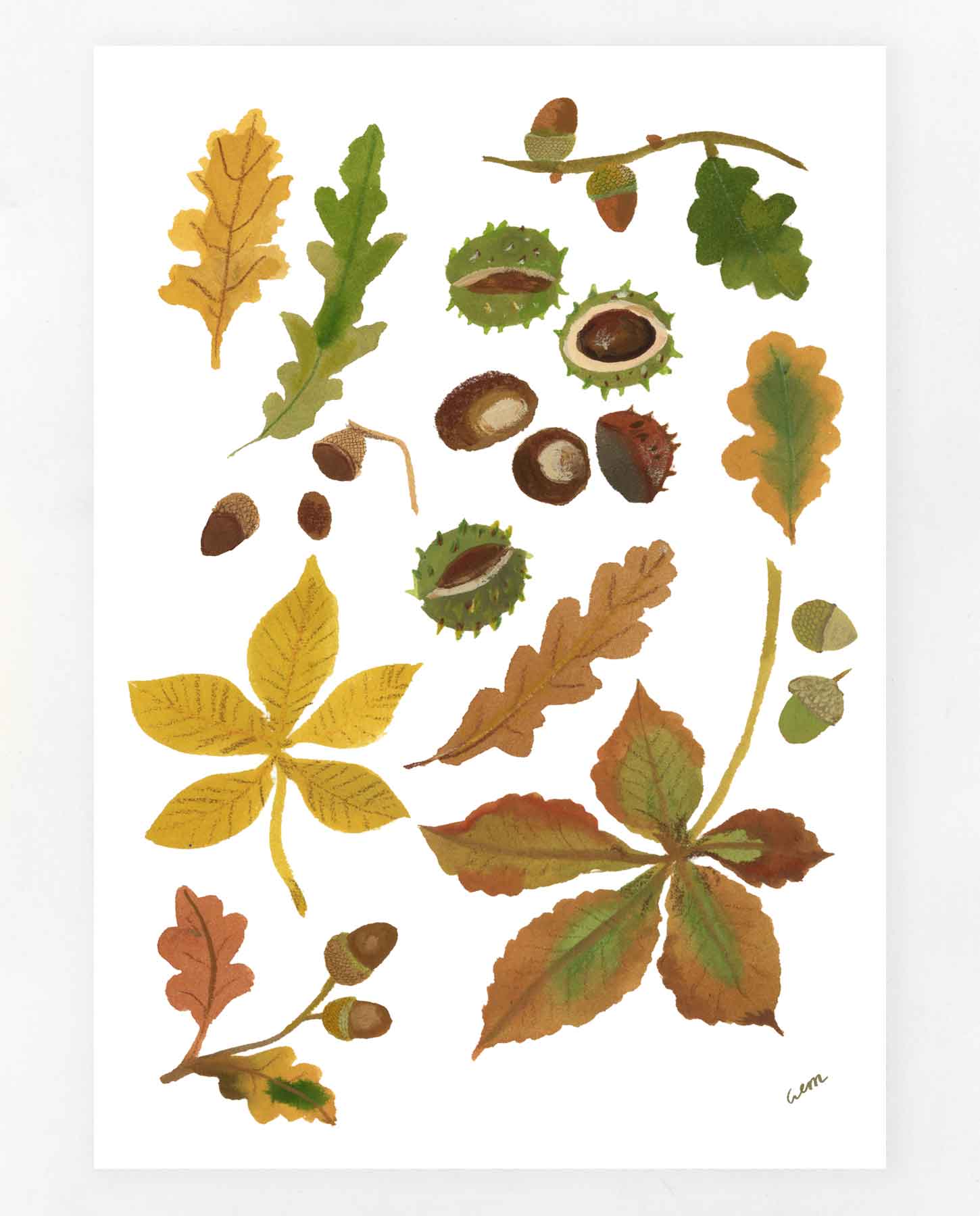 Autumn Finds print