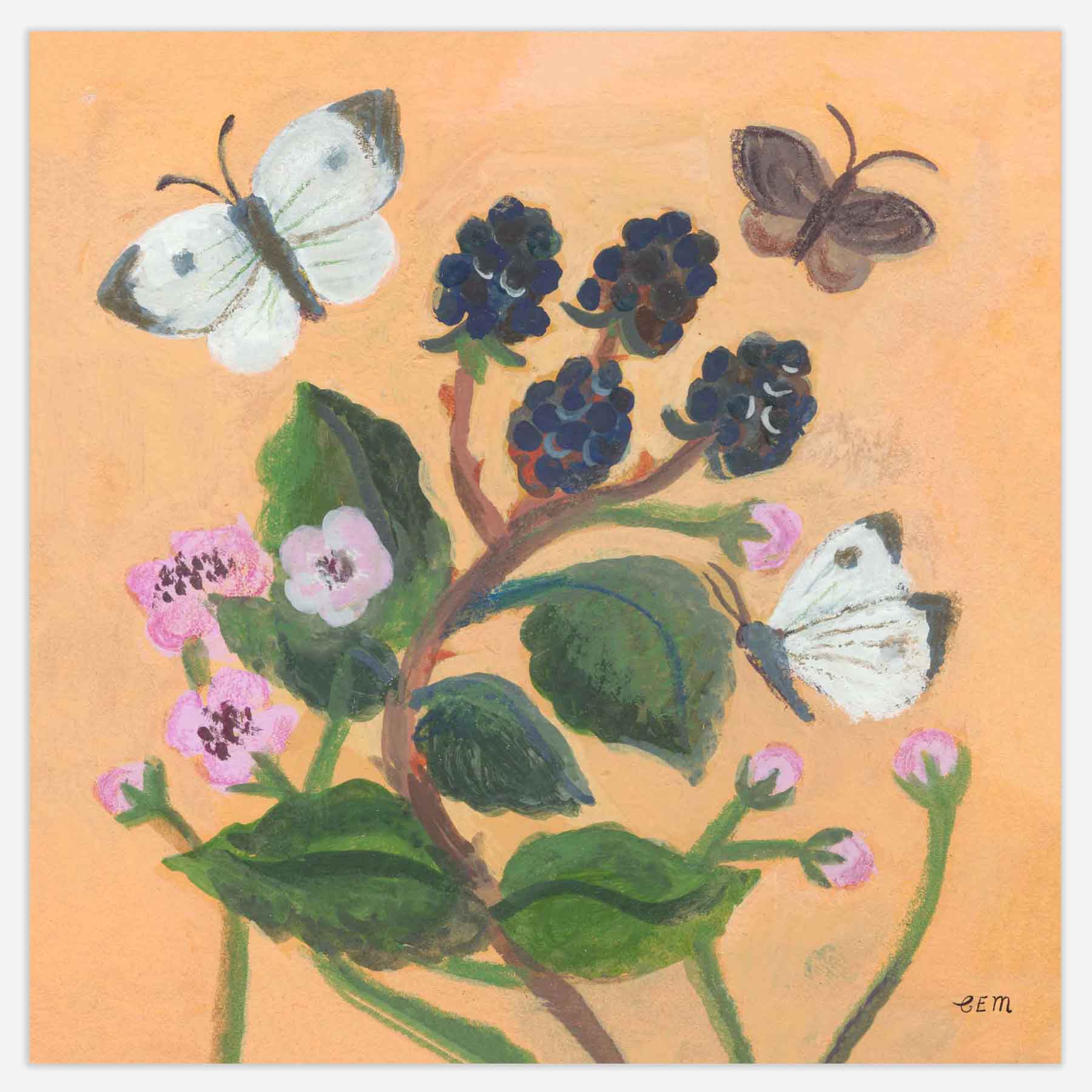 Butterflies and Blackberries Print