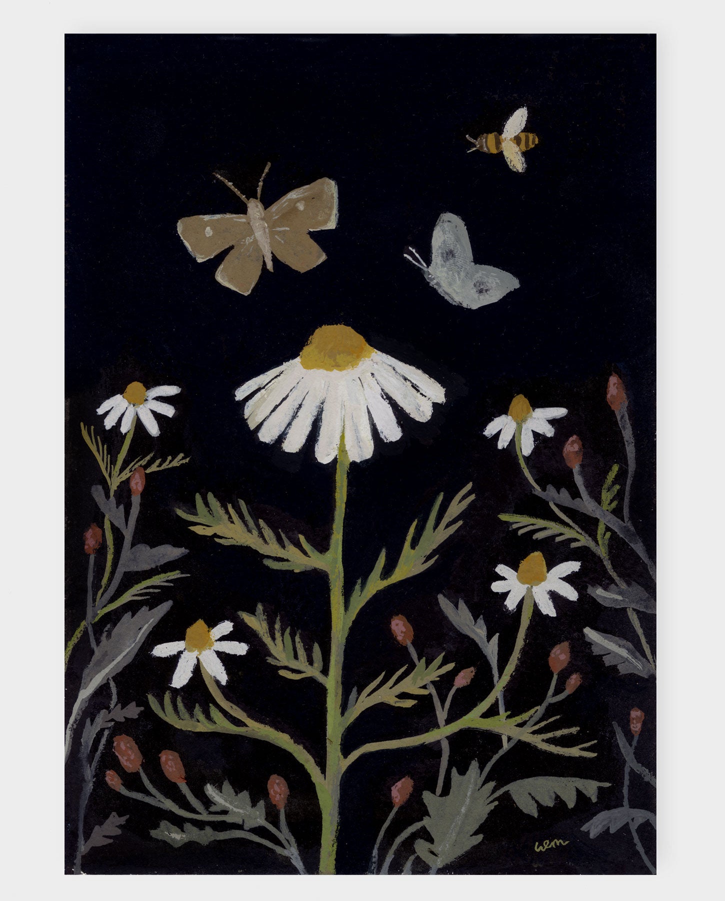 Chamomile and Sorrel a5 print