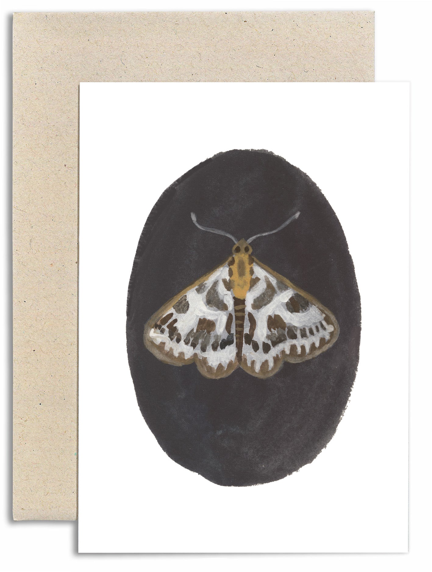 Small Magpie Moth Card