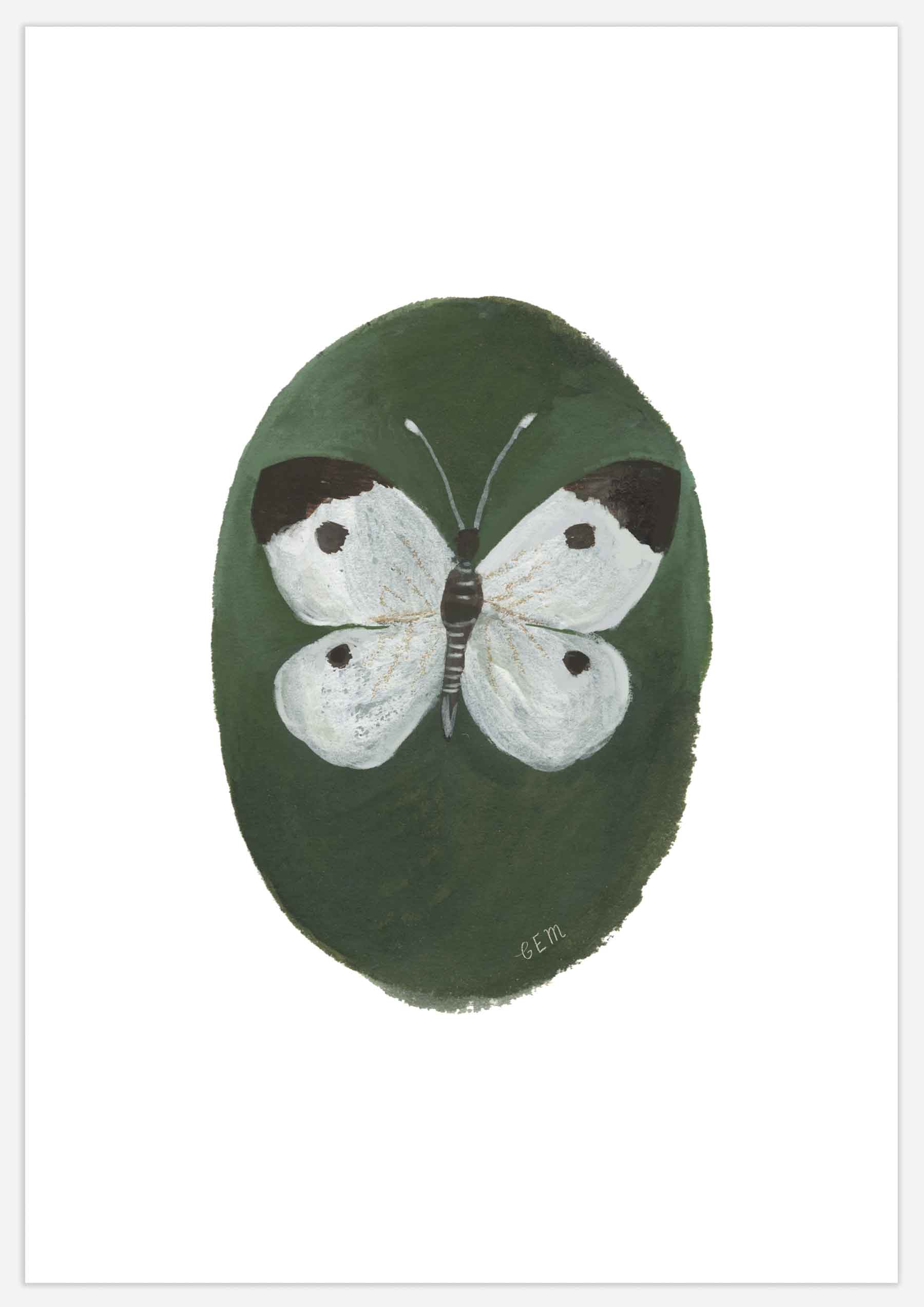 Cabbage White Butterfly Print