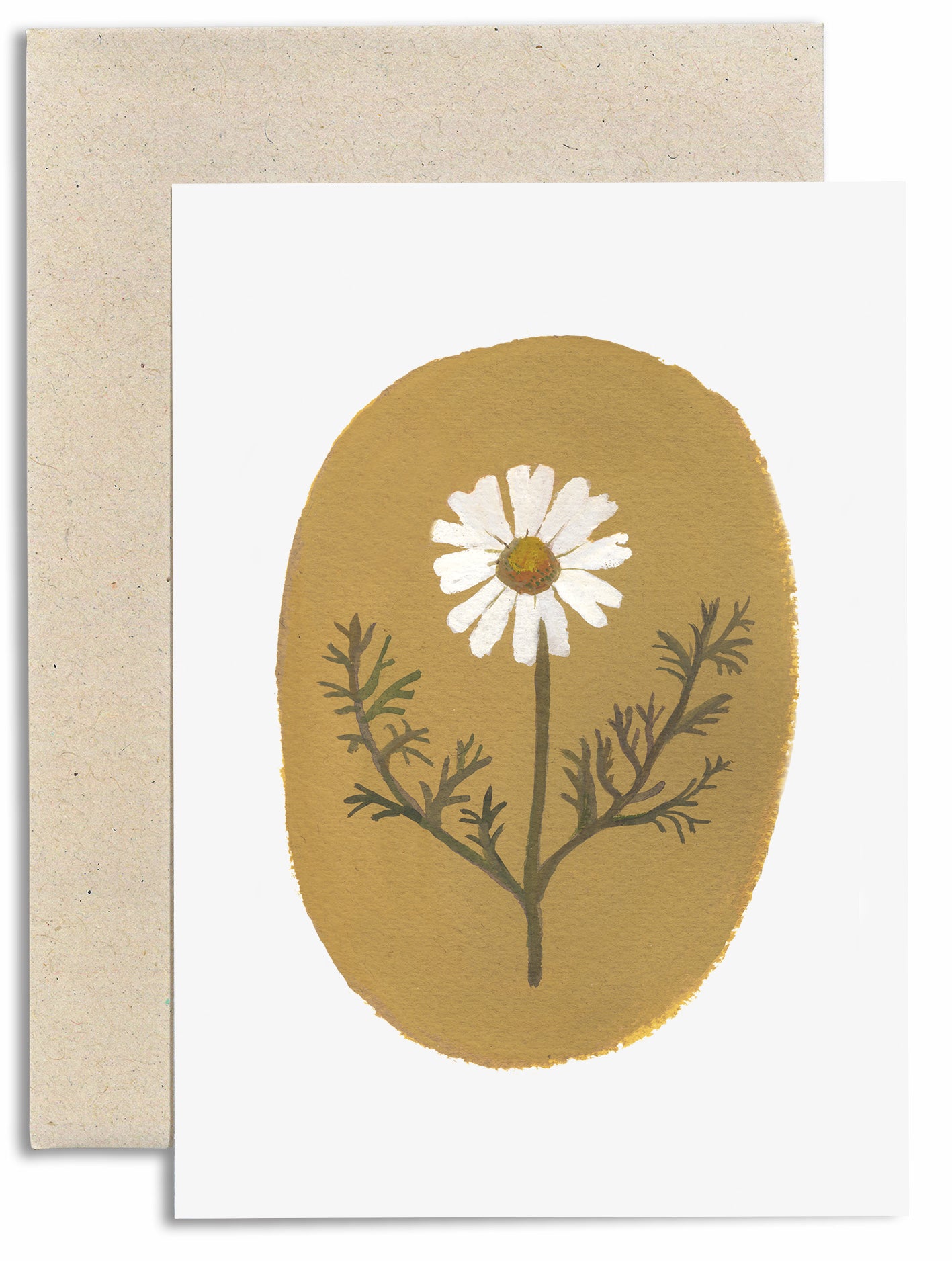 Corn Chamomile Card