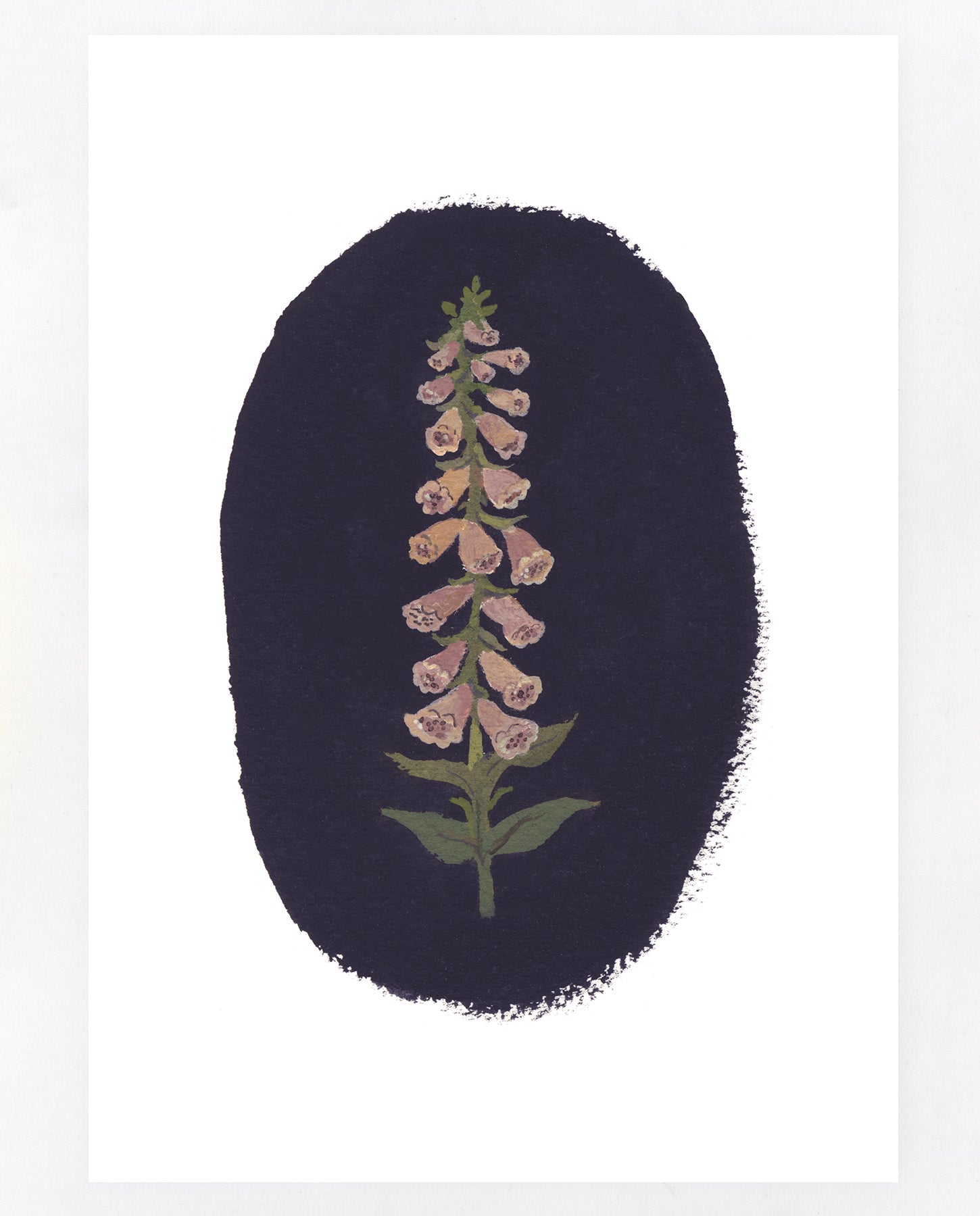 Foxglove A5 print