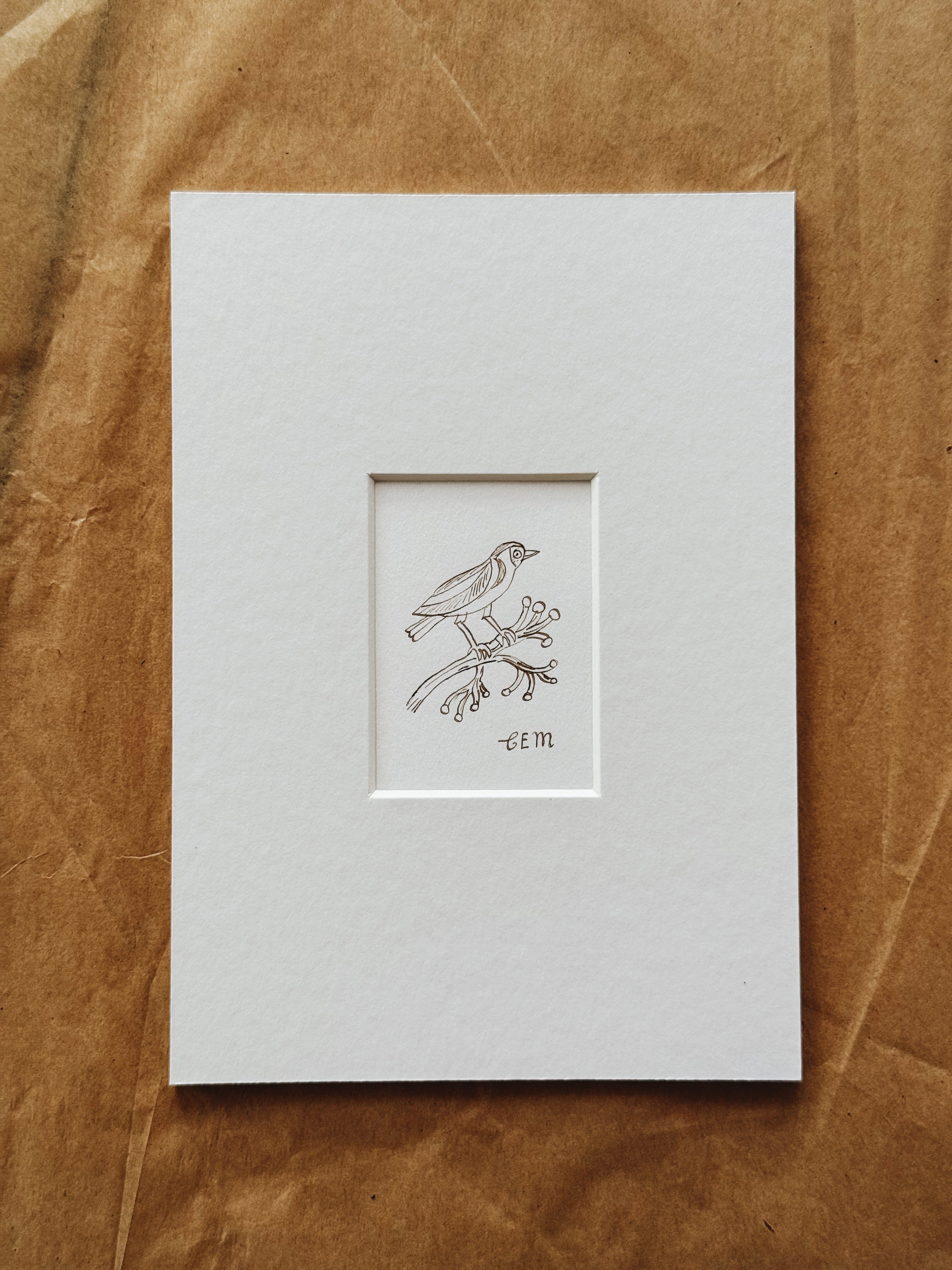 Goldfinch: original ink drawing