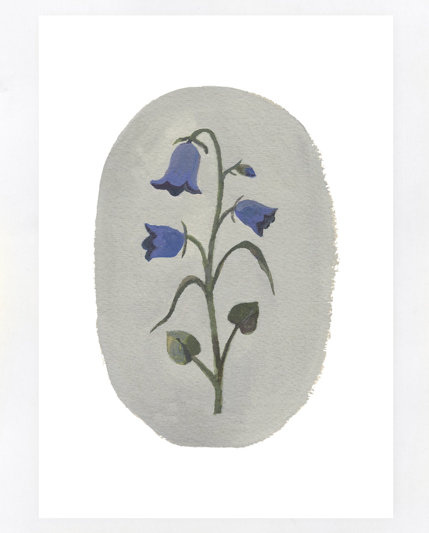 Harebell A5 print