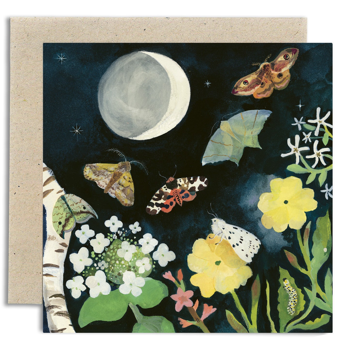 Moonlight Moths Card