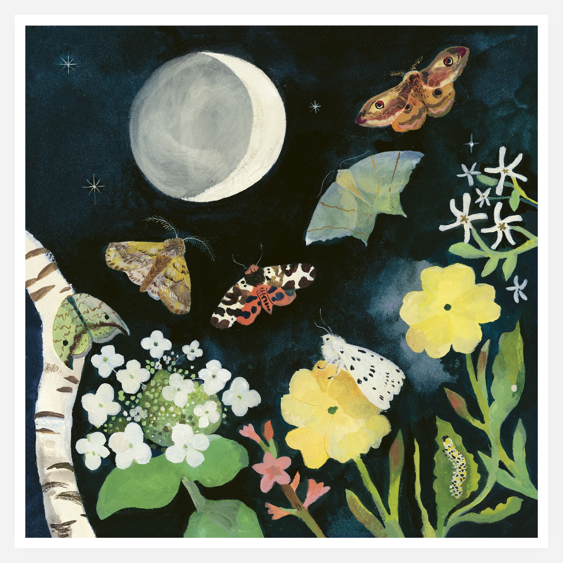 Moonlight Moths 20x20cm print