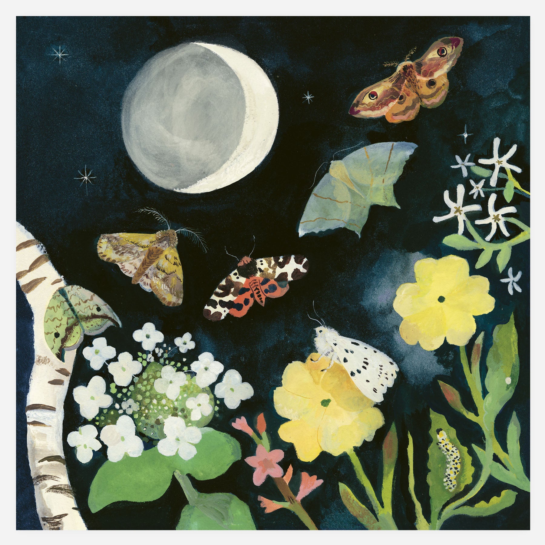 Moonlight Moths 20x20cm print