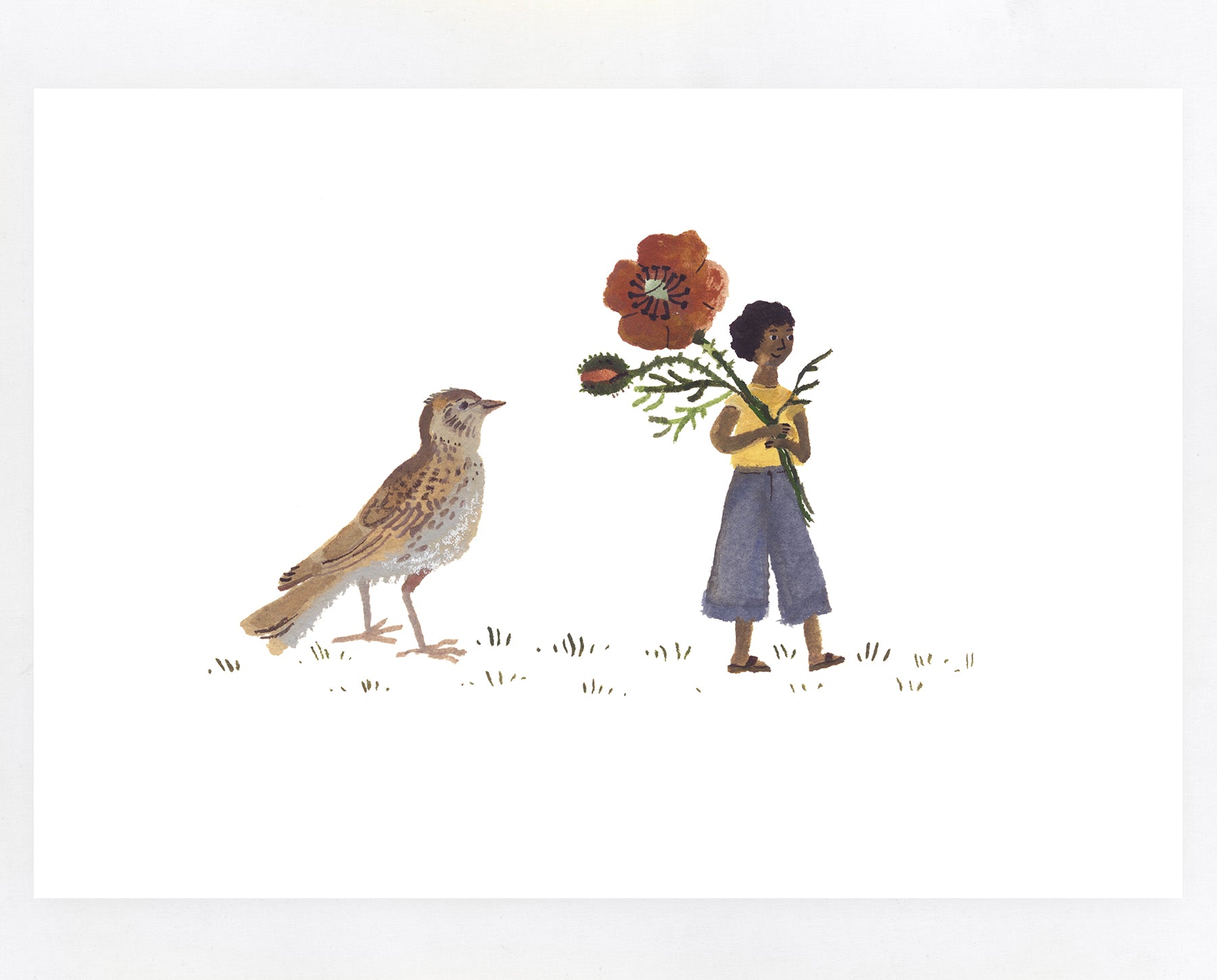 Skylark and Field Poppy A5 print