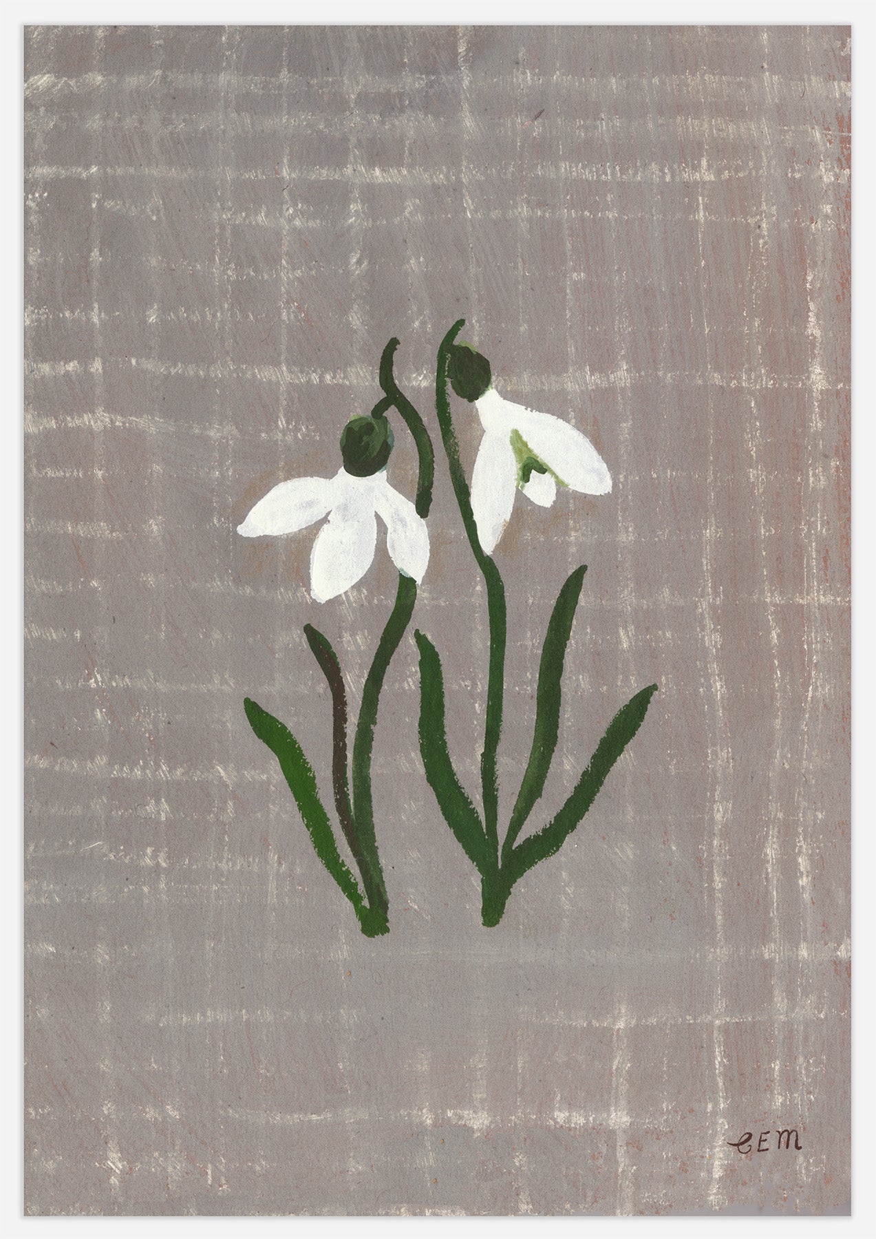 Snowdrops and Checkerboard Print