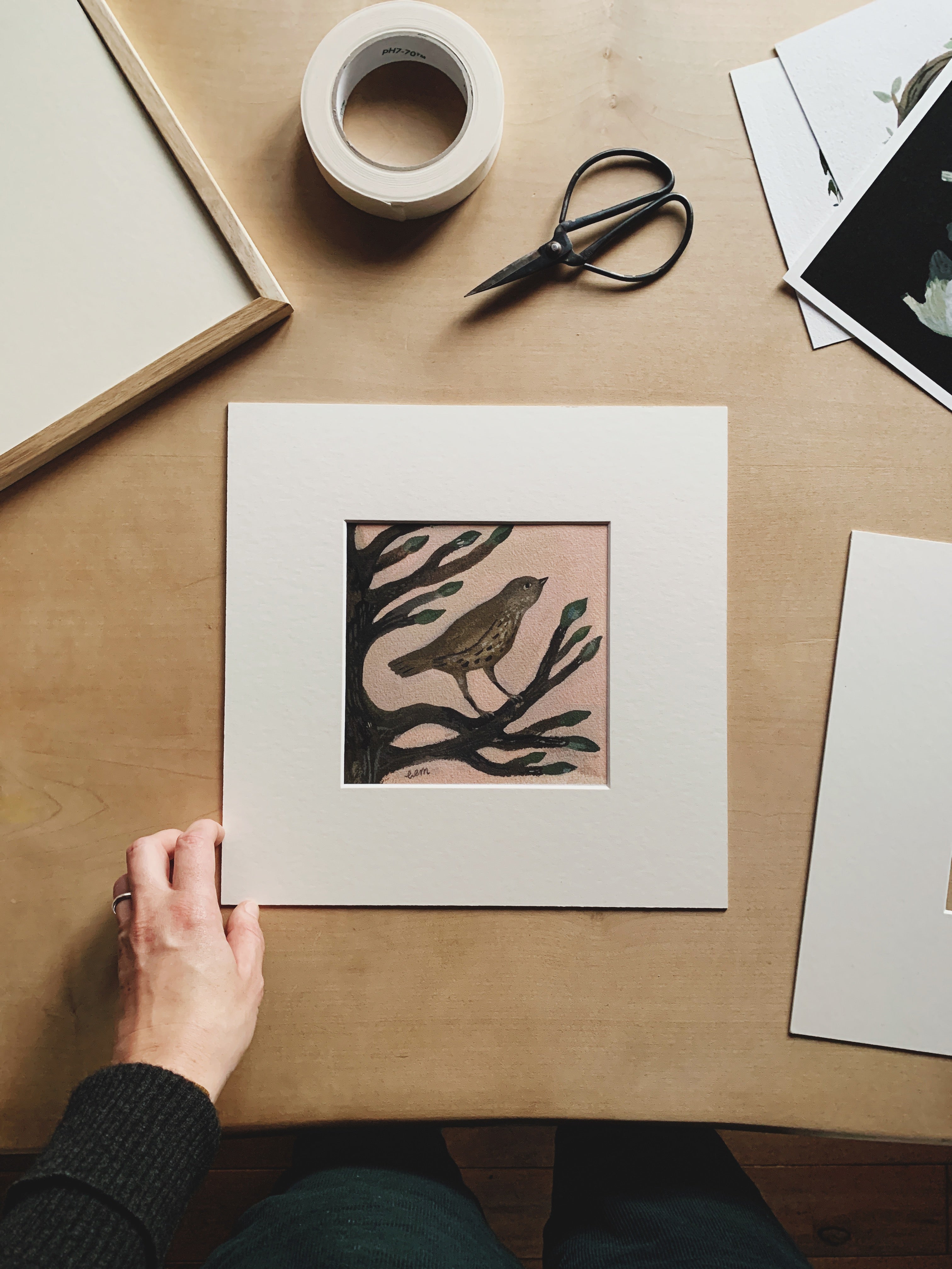 Song Thrush and Buds 7x7 print