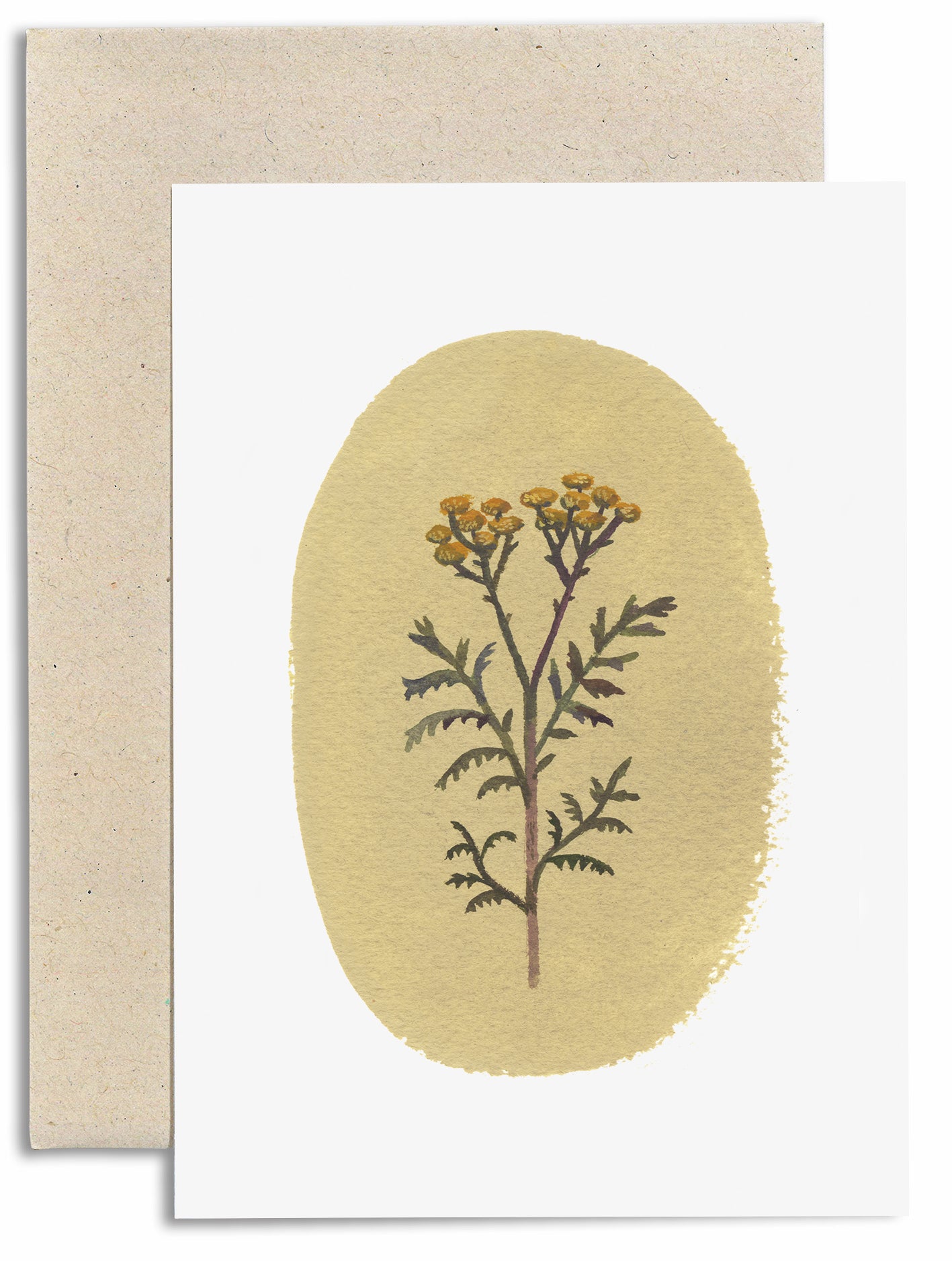 Tansy Card