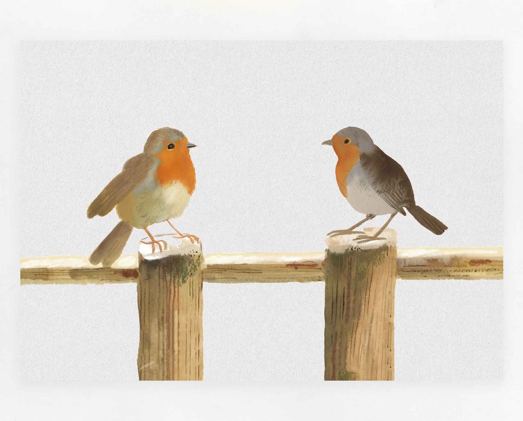 Robins Print