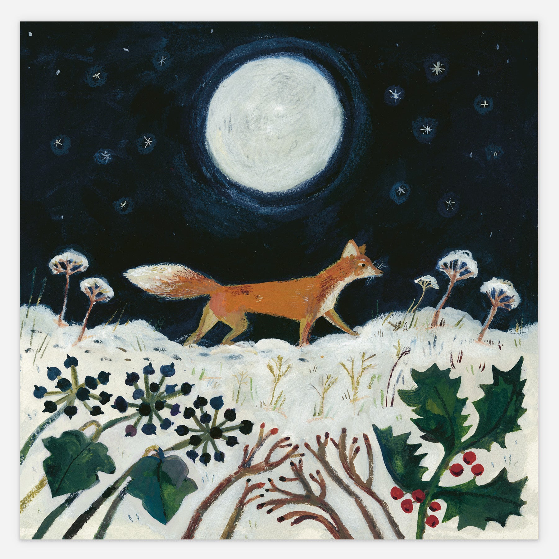 Winter Fox 20x20cm print