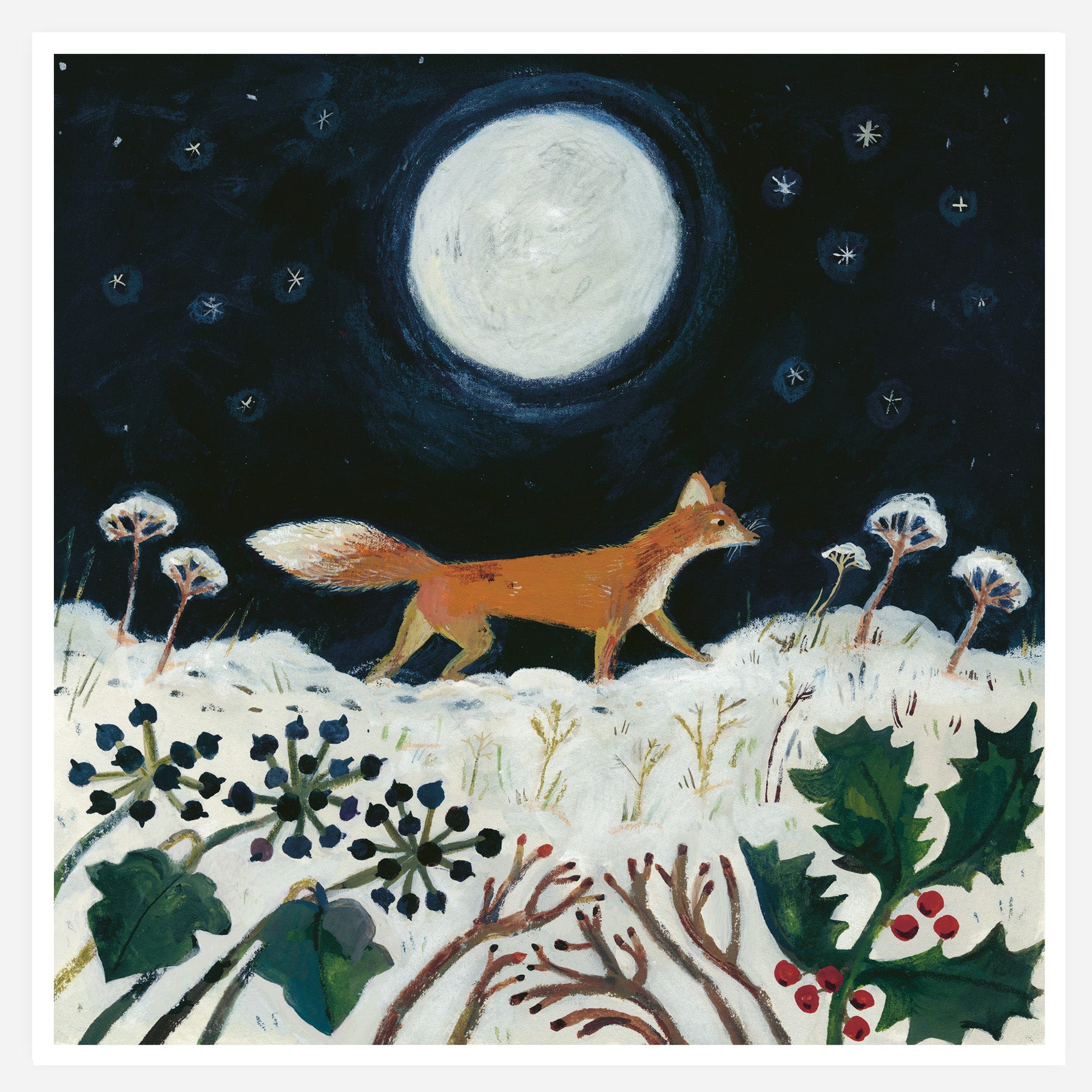 Winter Fox 20x20cm print