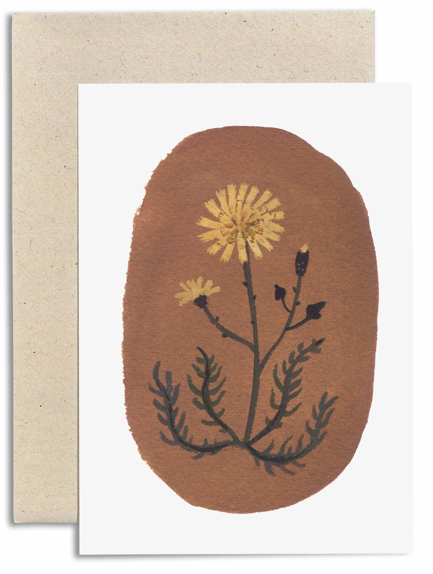 Autumn Hawkbit Card