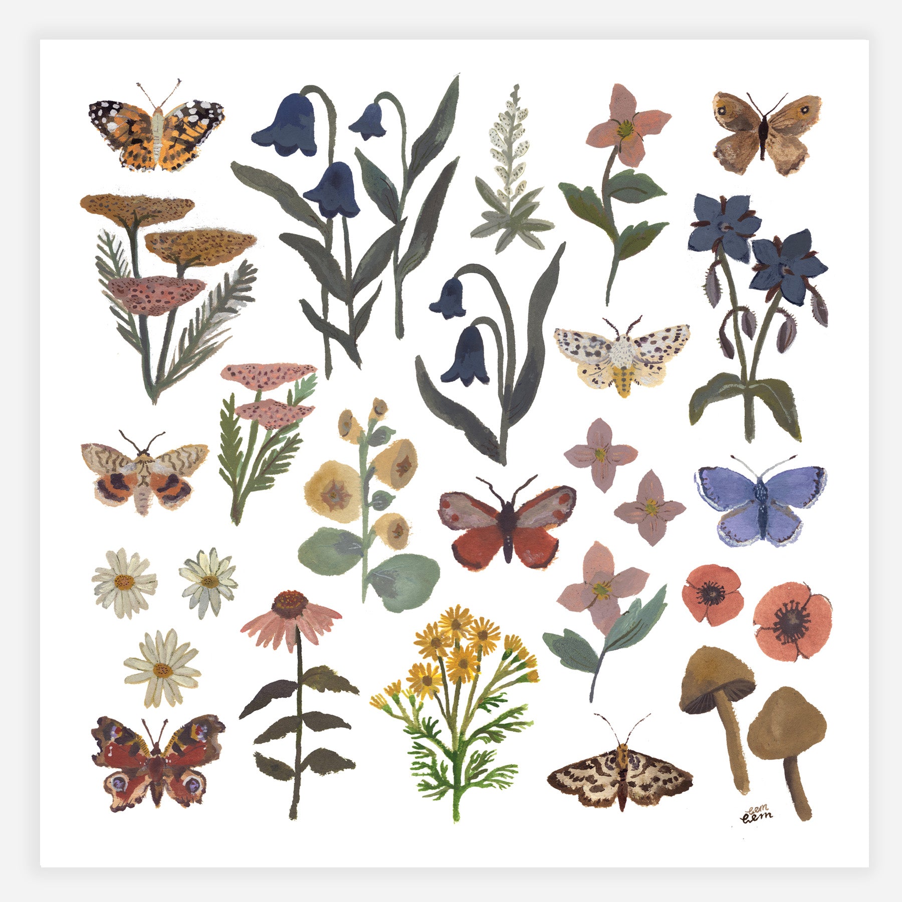 Butterfly Garden 20x20cm Print