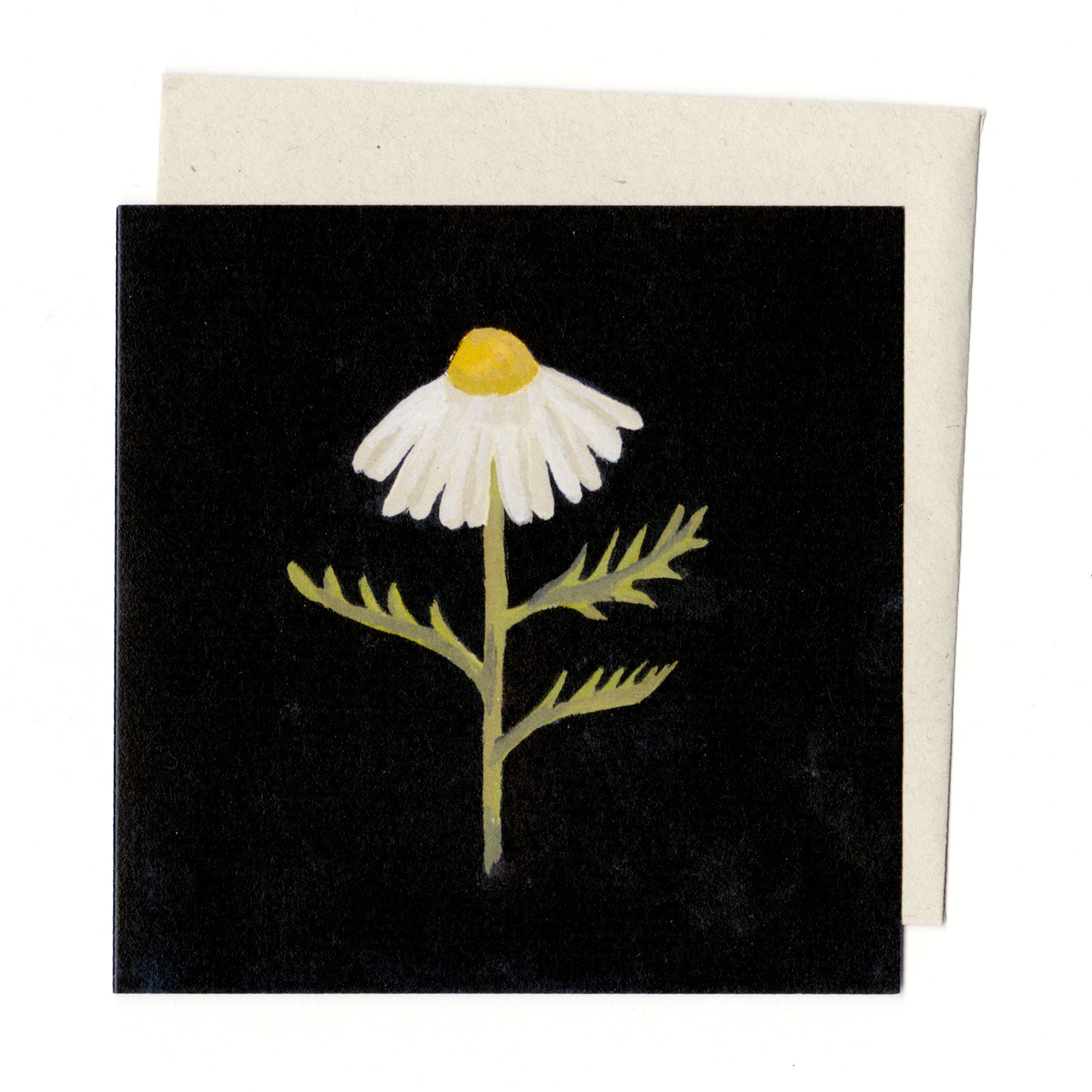 Chamomile card