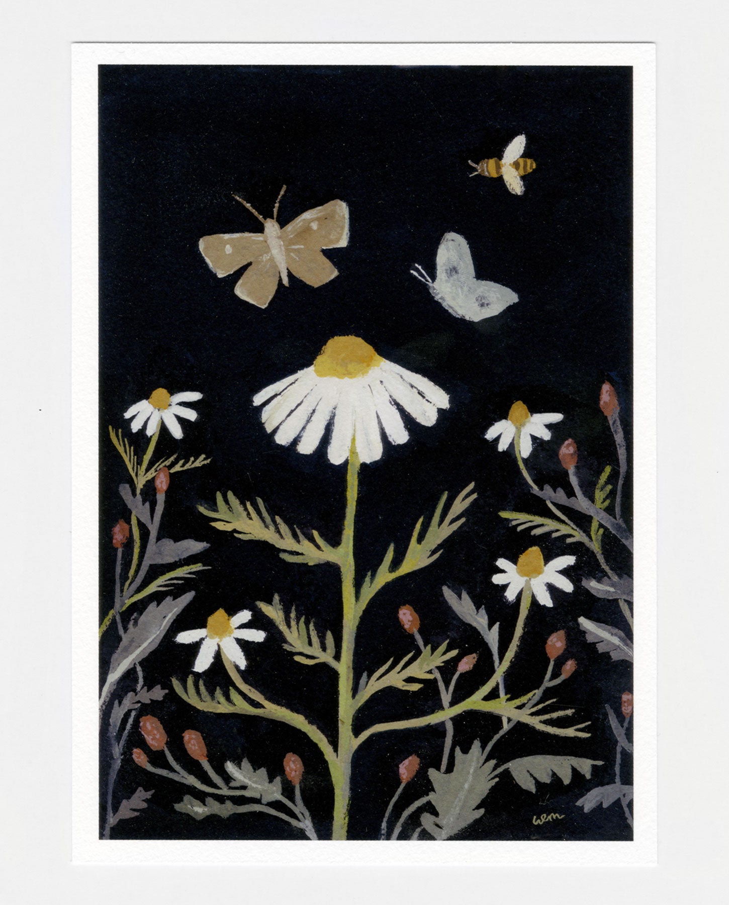 Chamomile and Sorrel a5 print