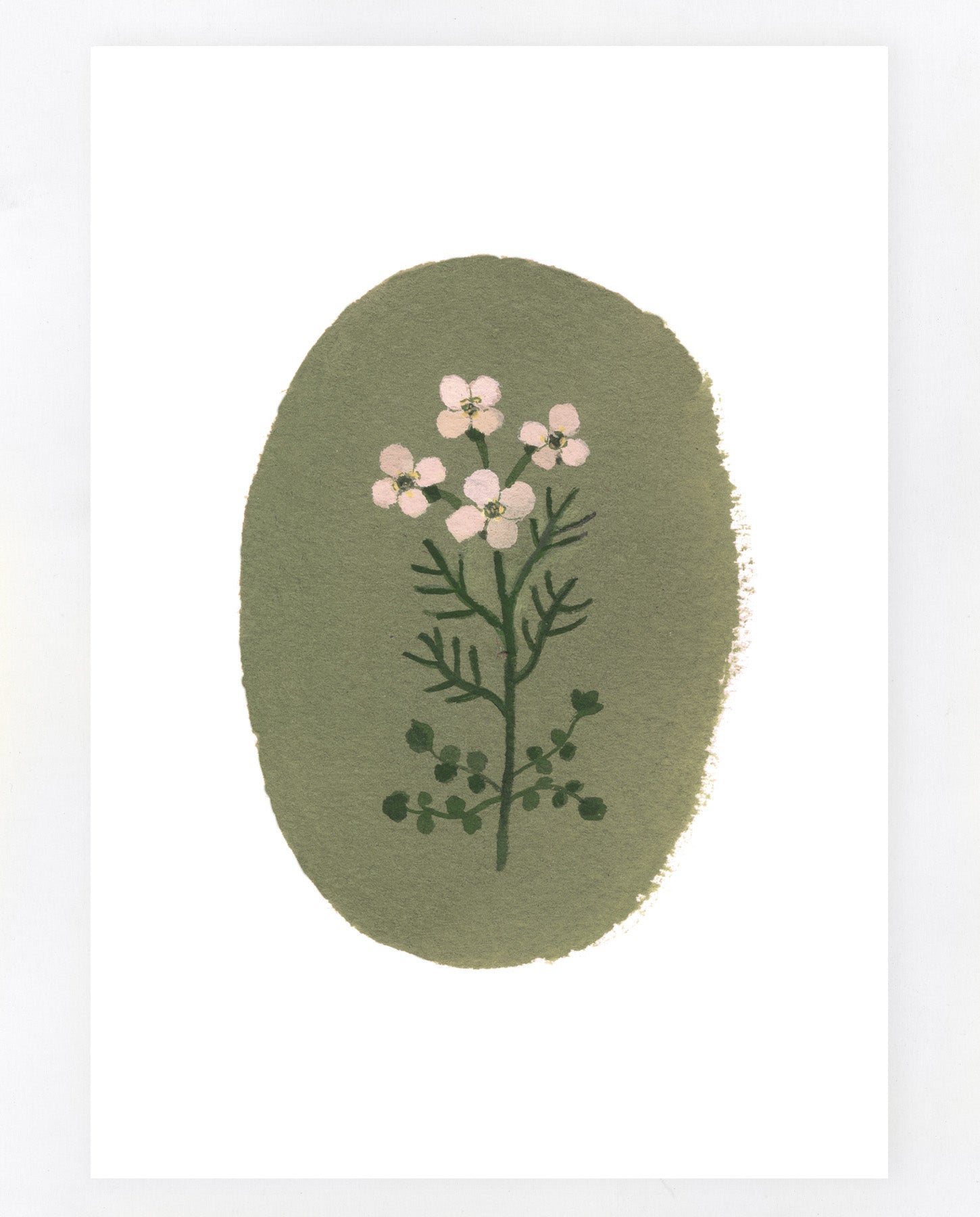 Cuckoo Flower A5 print