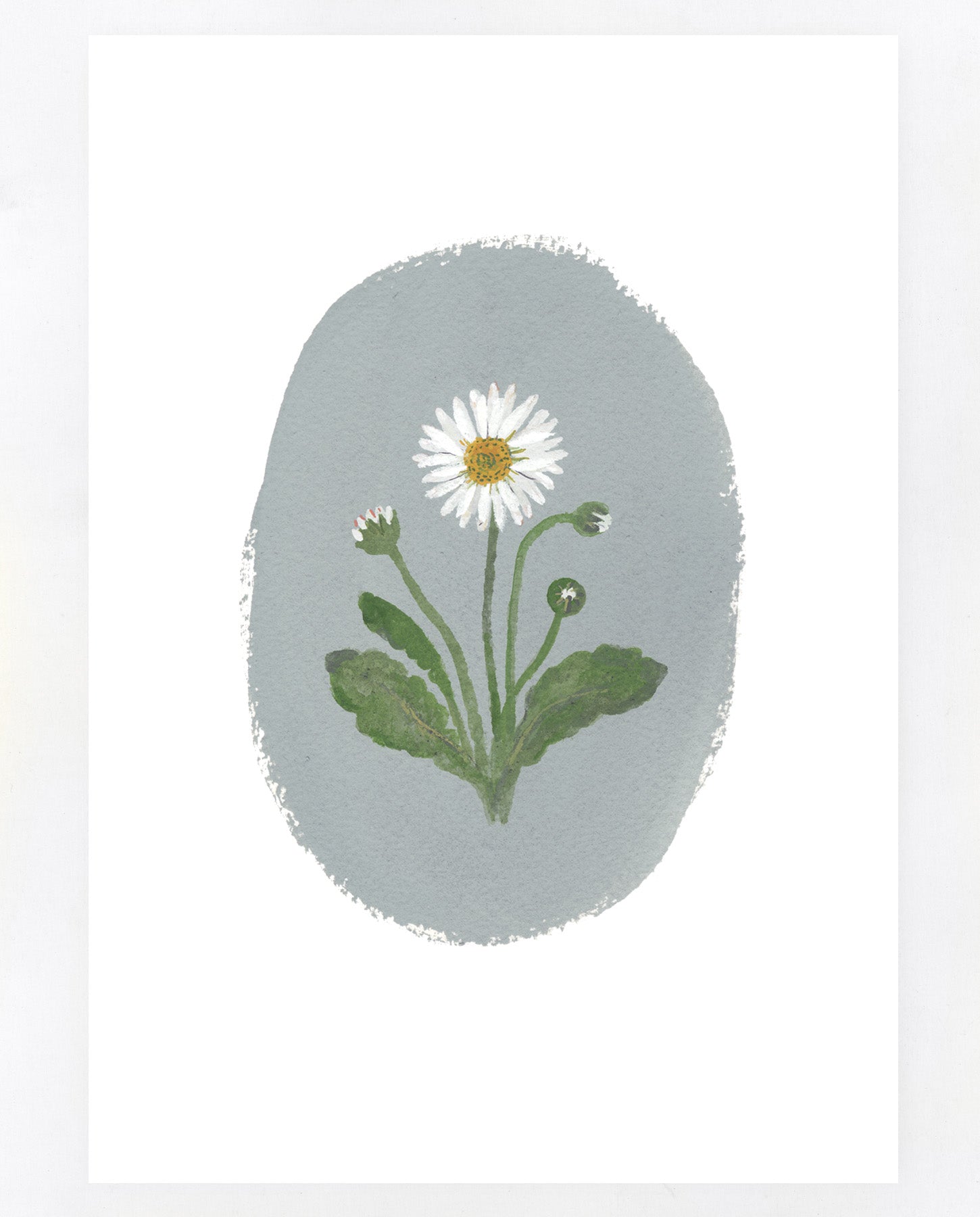 Daisy A5 print