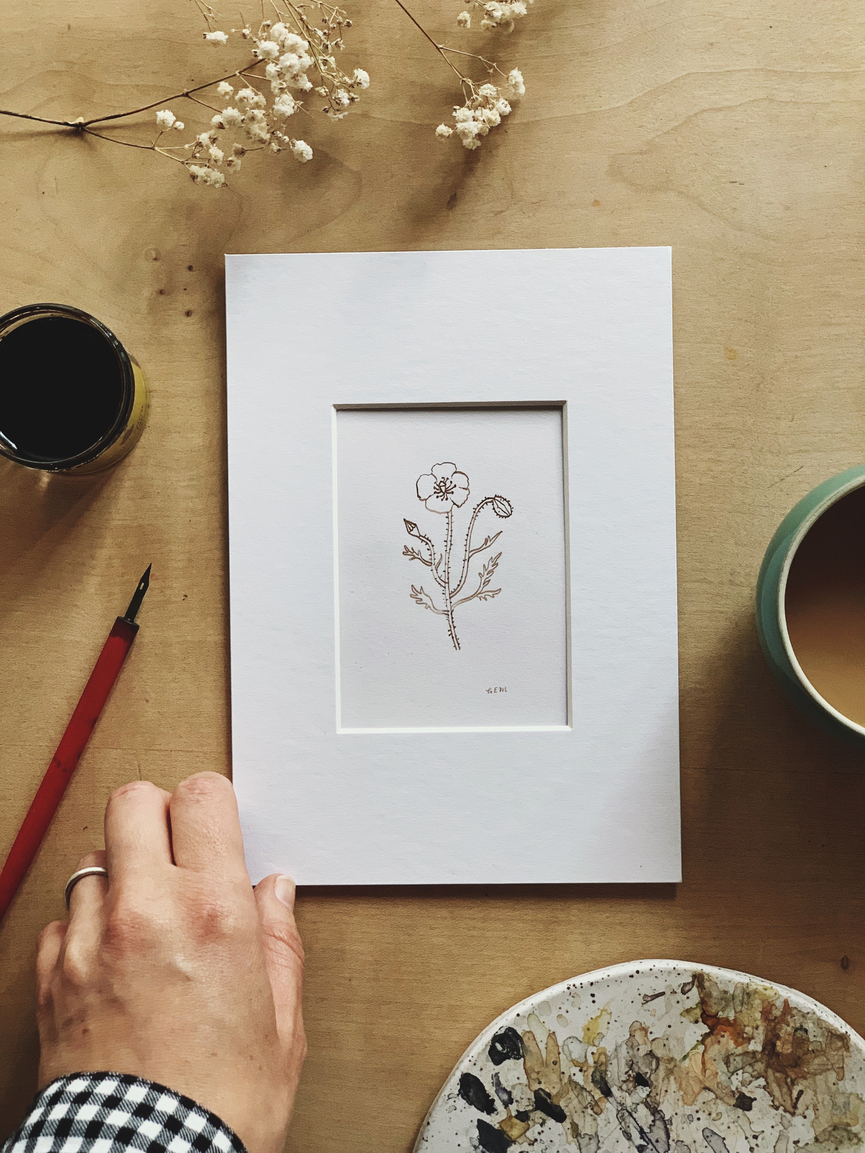 Field Poppy original ink drawing