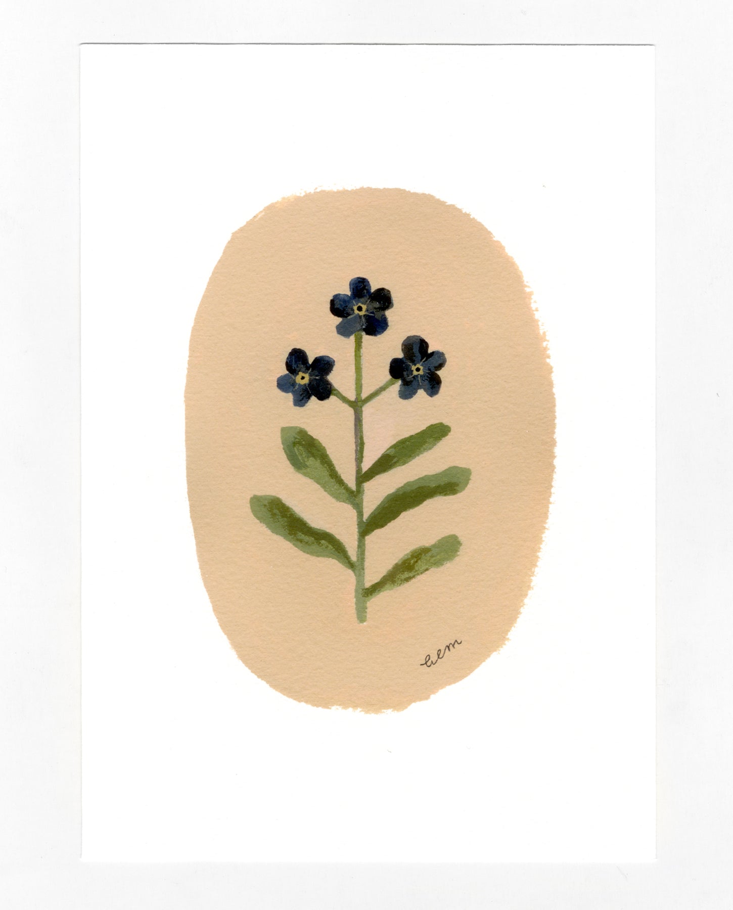 Forget-me-nots a5 print