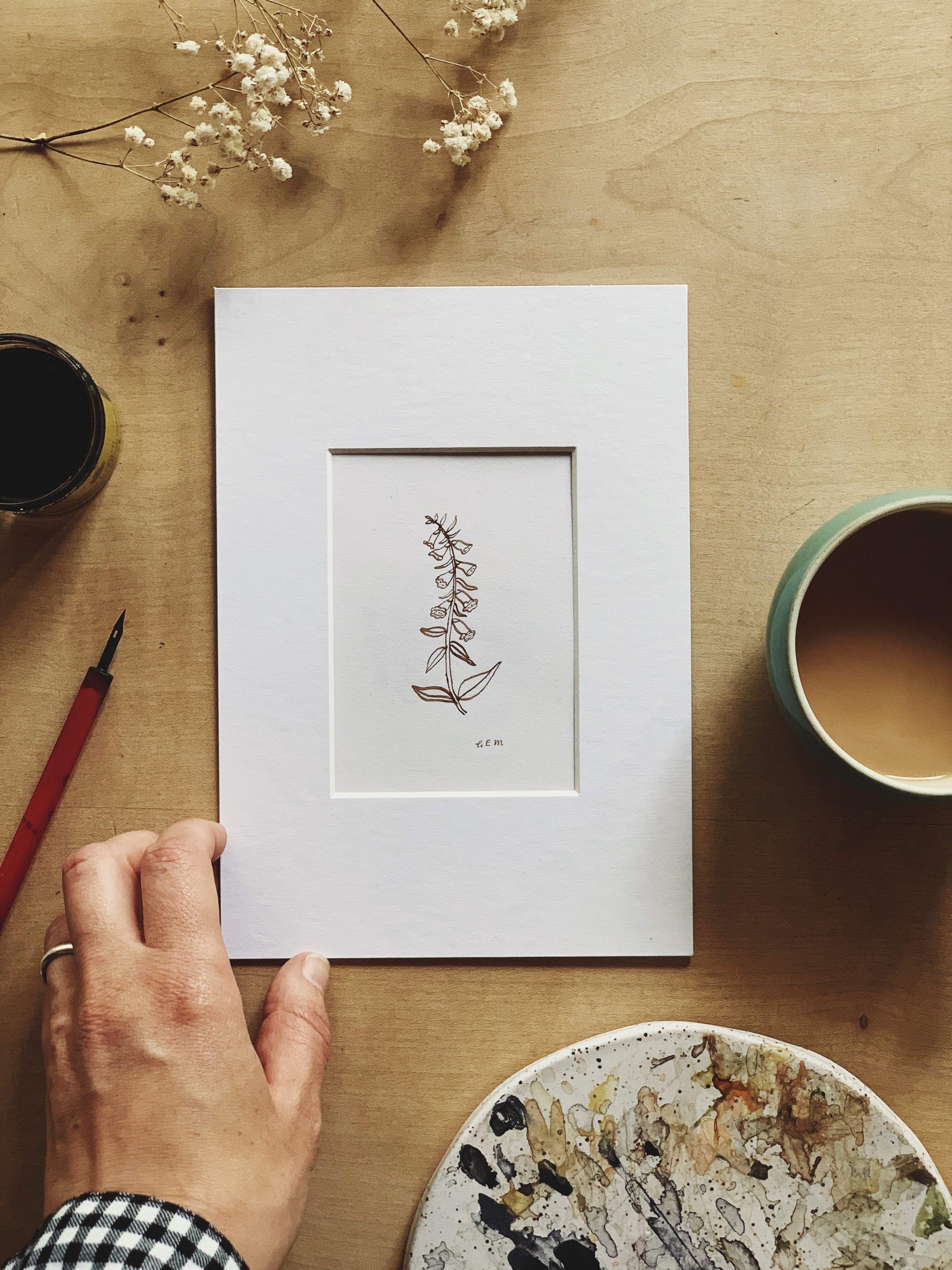 Foxglove original ink drawing