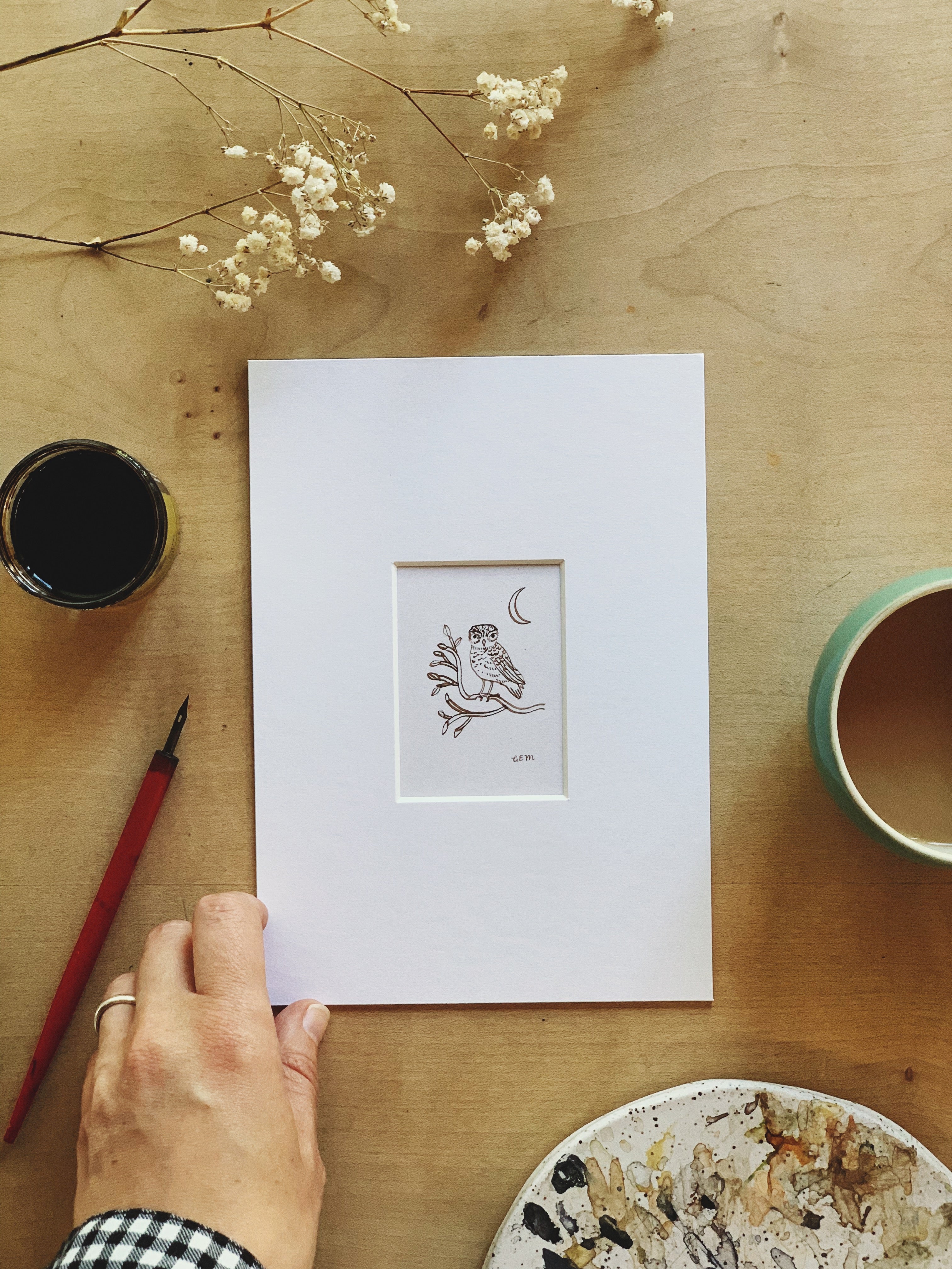 Little owl original ink drawing