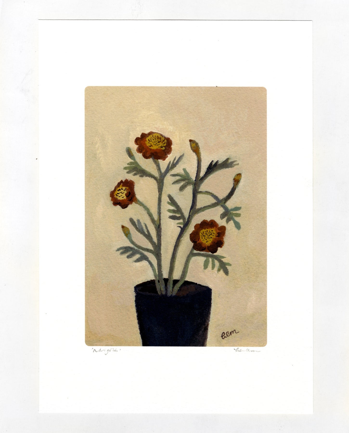 Marigolds a4 print