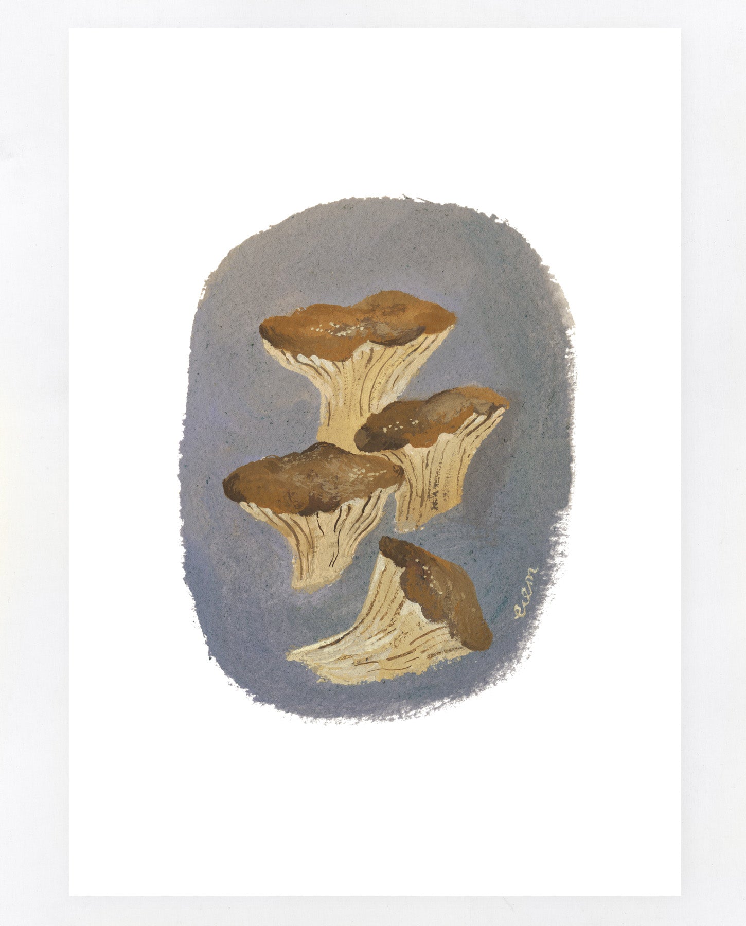 Mushrooms A5 print