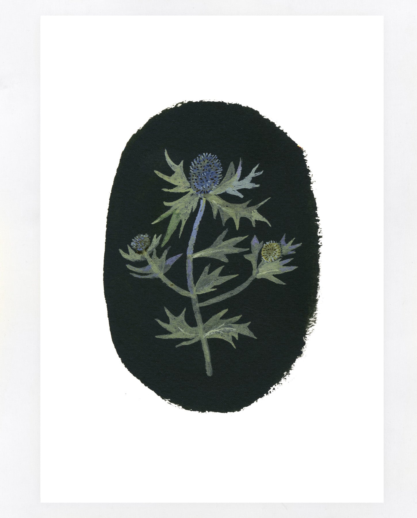 Sea Holly A5 print