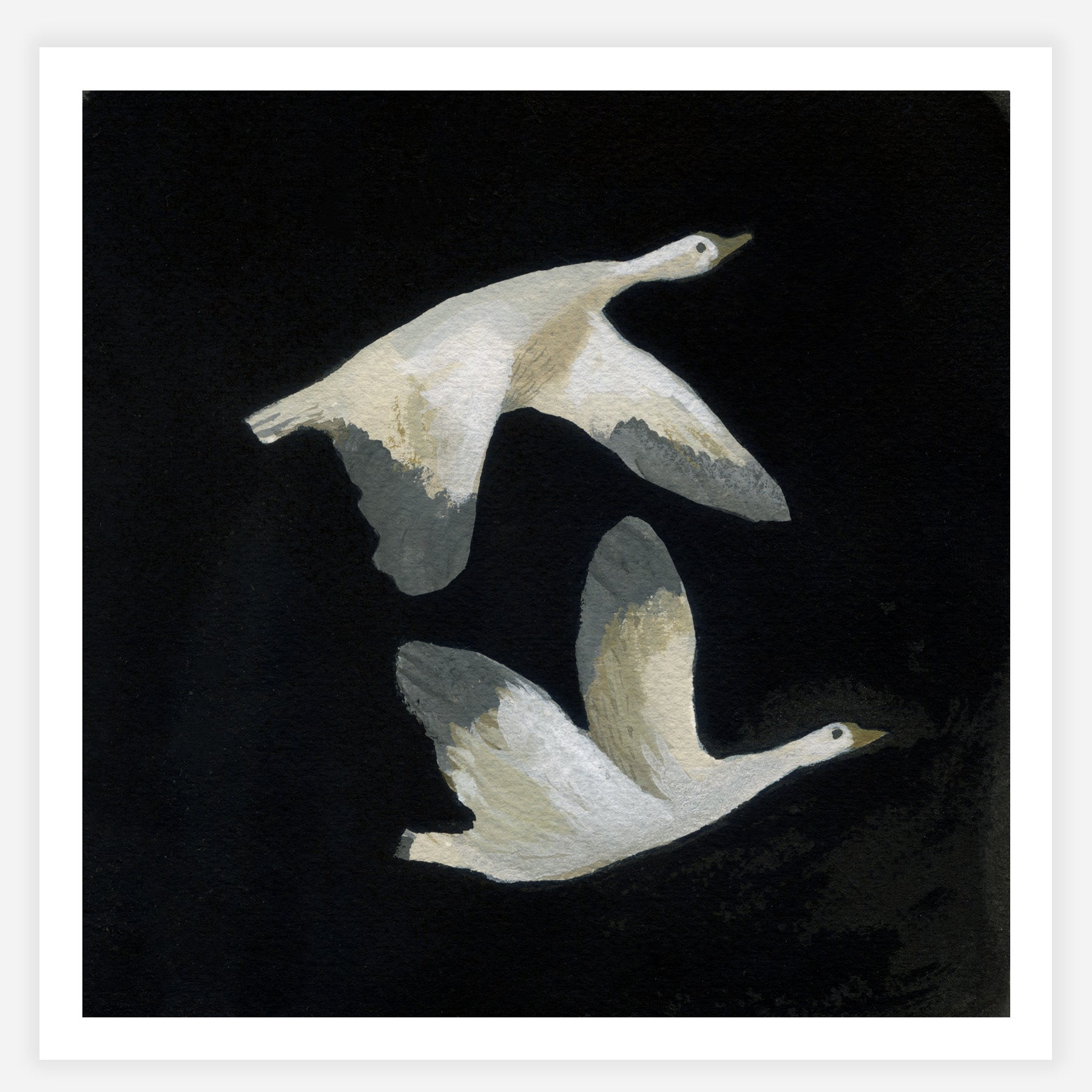 Snow Geese 6x6 or 7x7 Print