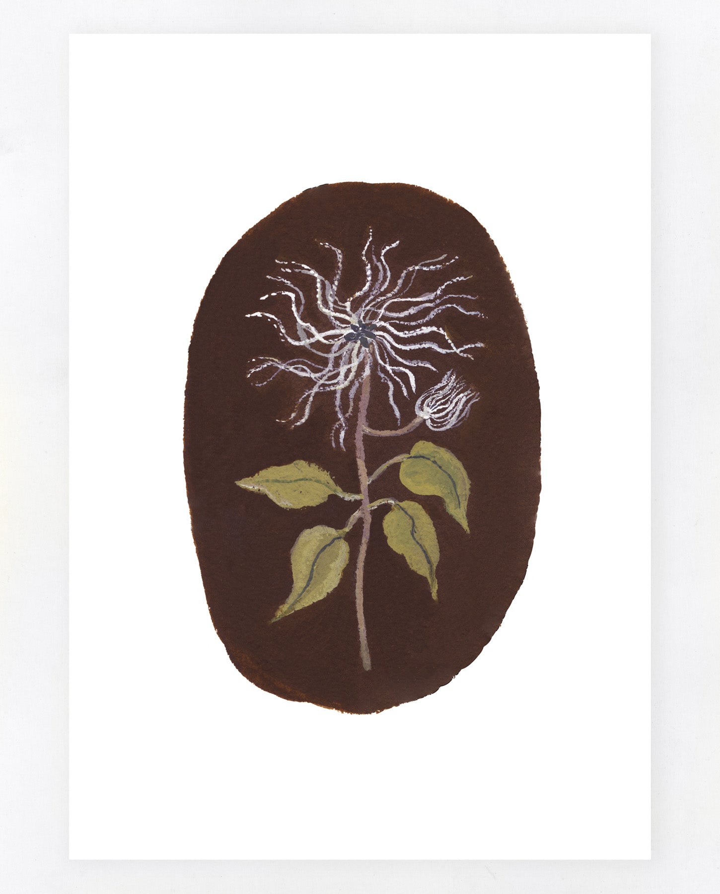 Traveller's Joy A5 Print