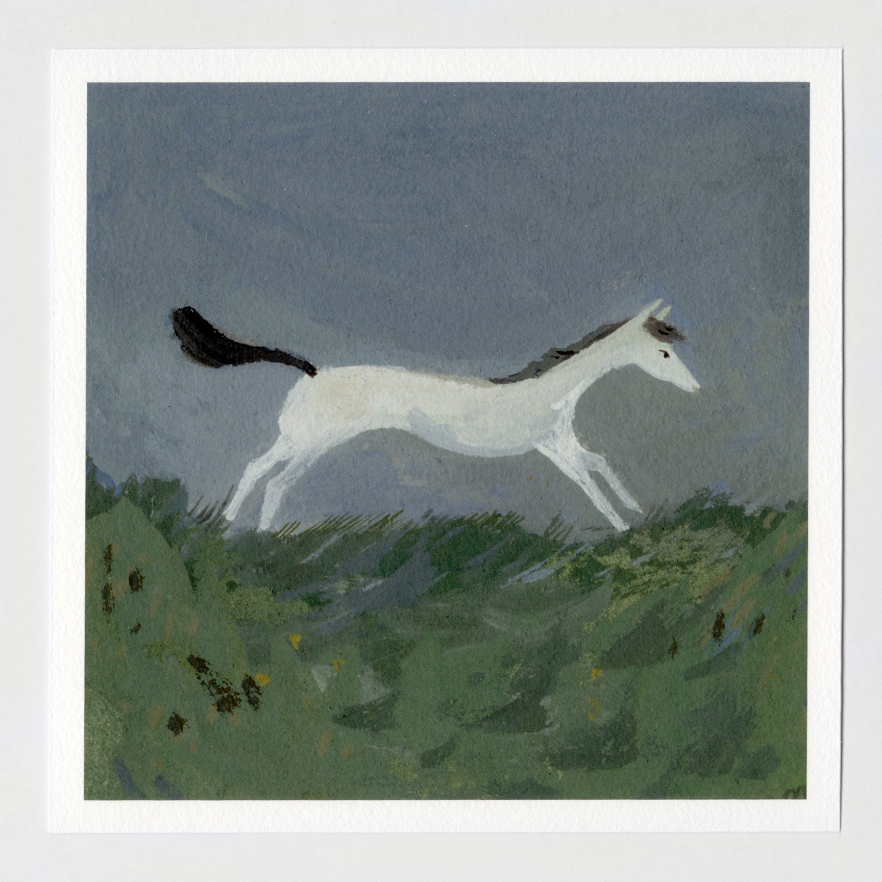 Wild Horse 7x7 print