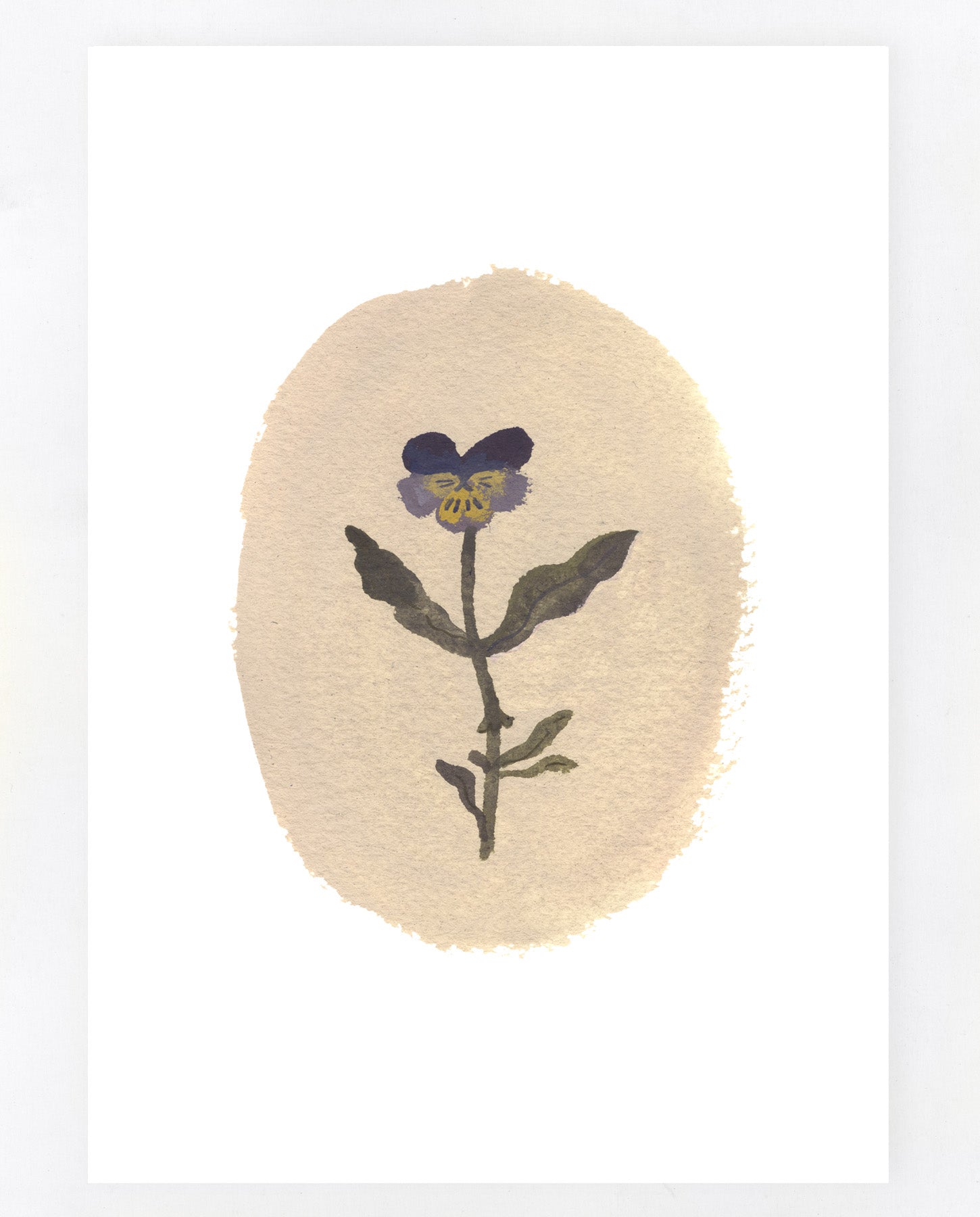 Wild Pansy A5 print