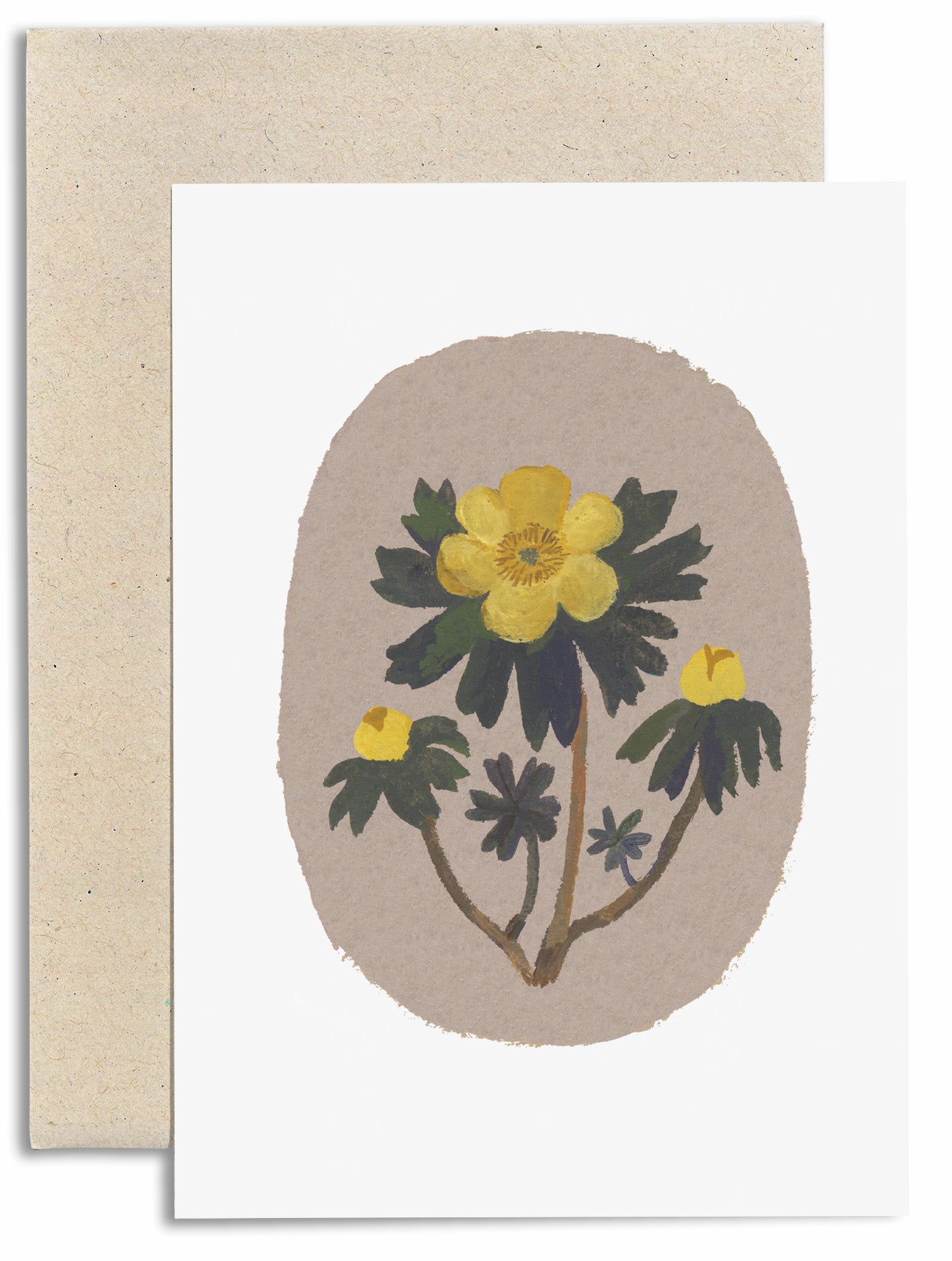 Winter Aconite Card