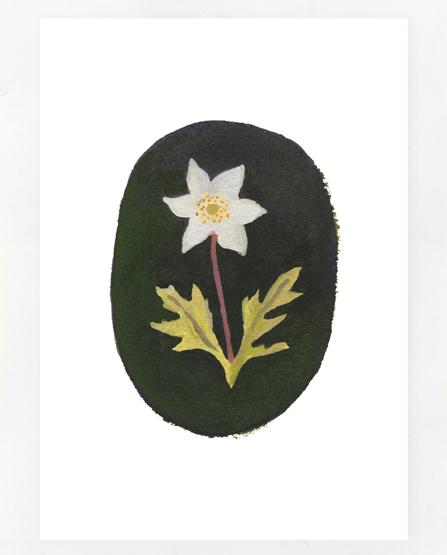 Wood Anemone A5 print