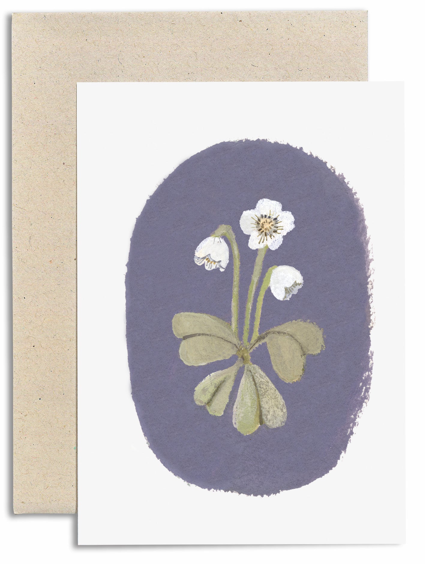 Wood sorrel Card