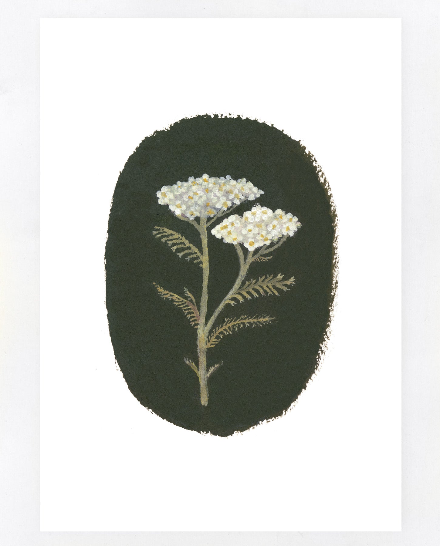 Yarrow A5 print