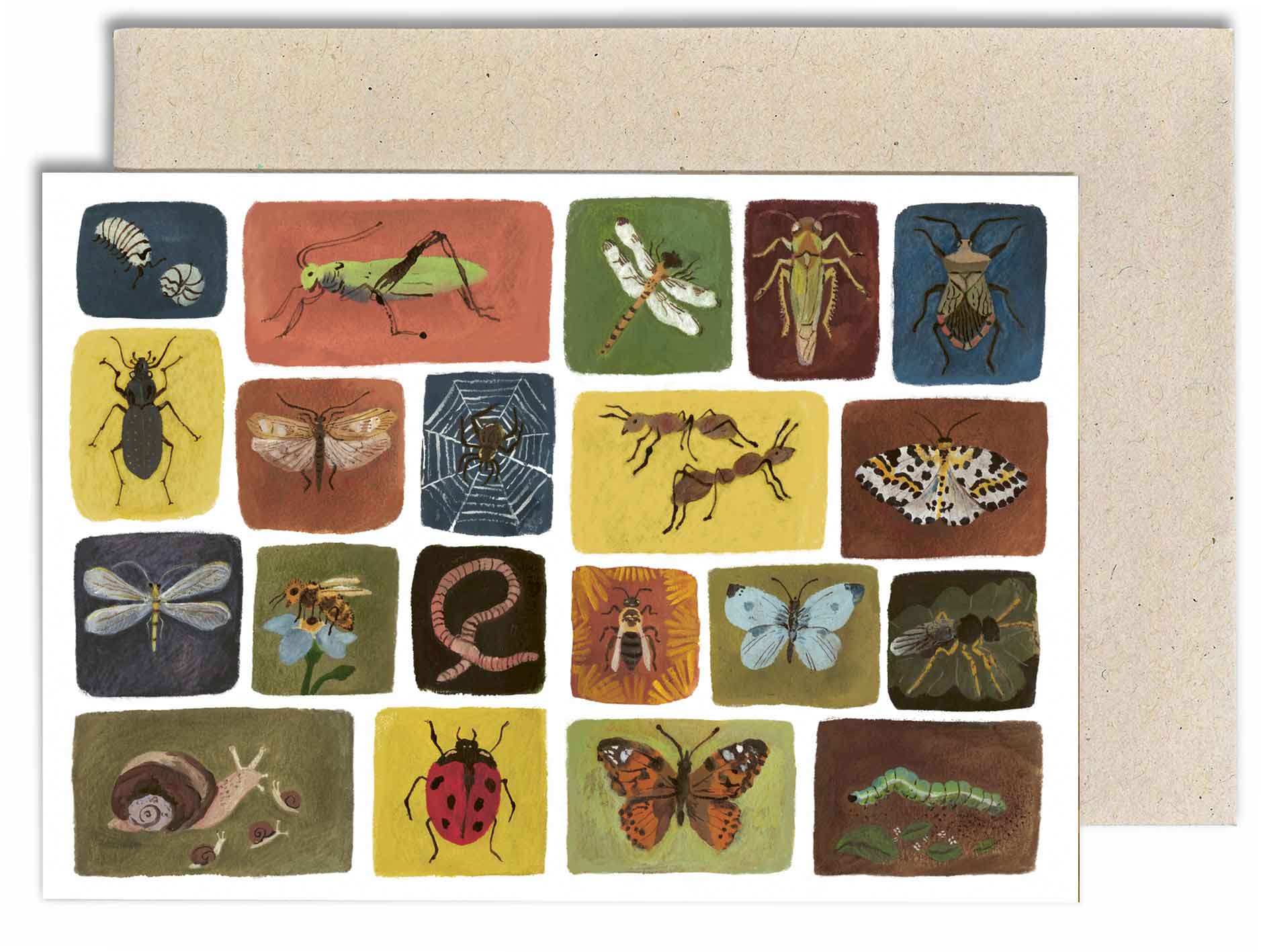 Bugs Card