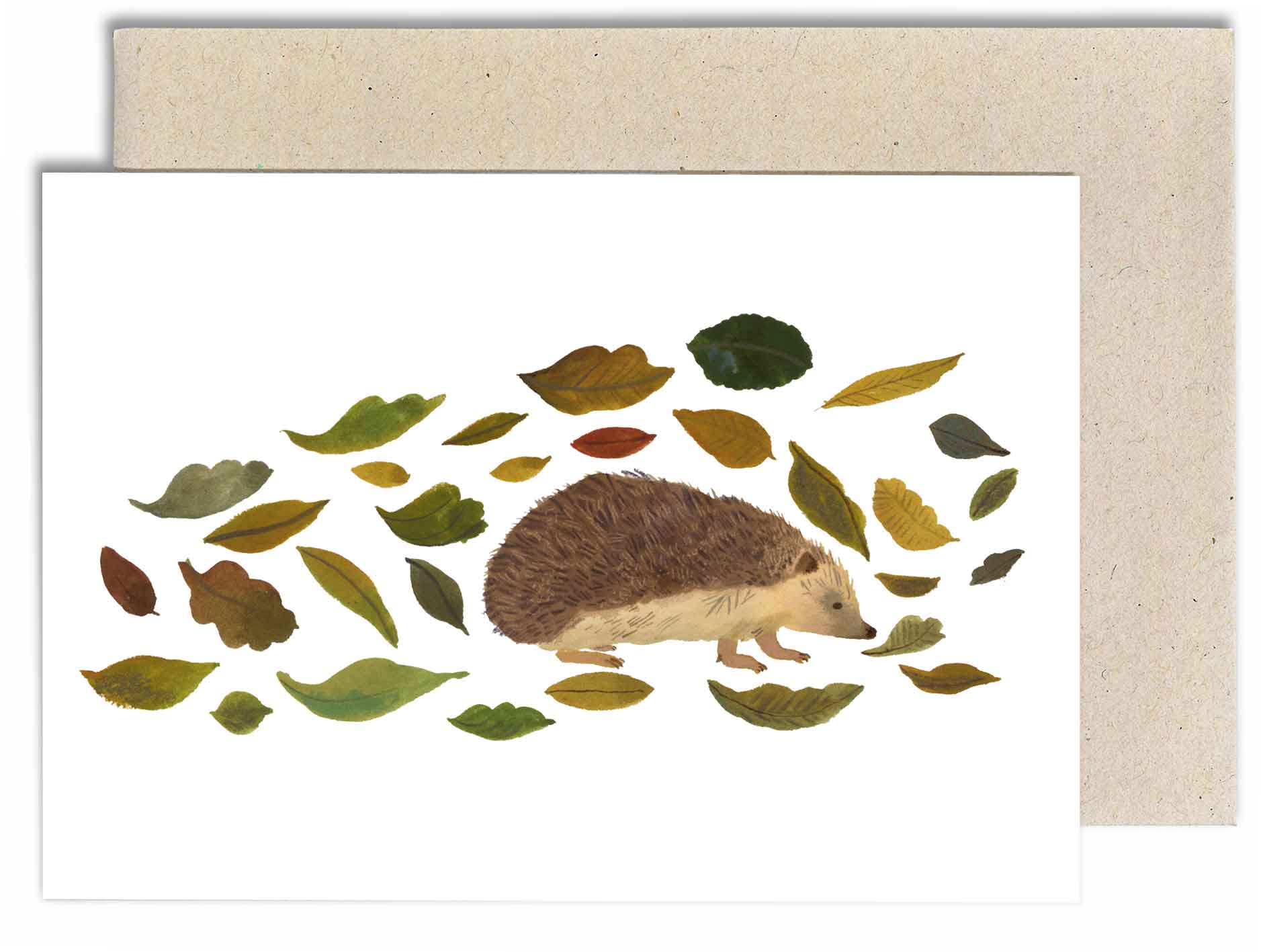 Hedgehog Card