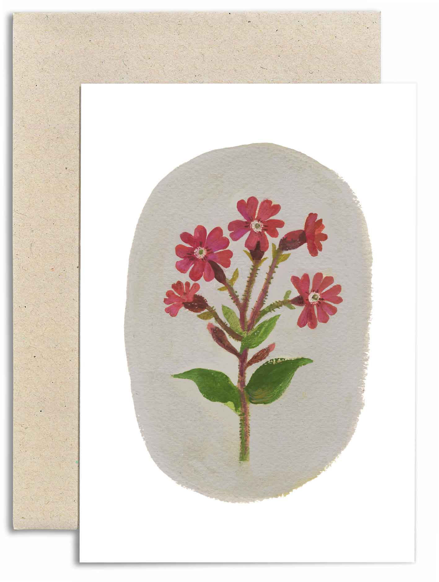 Red Campion Card