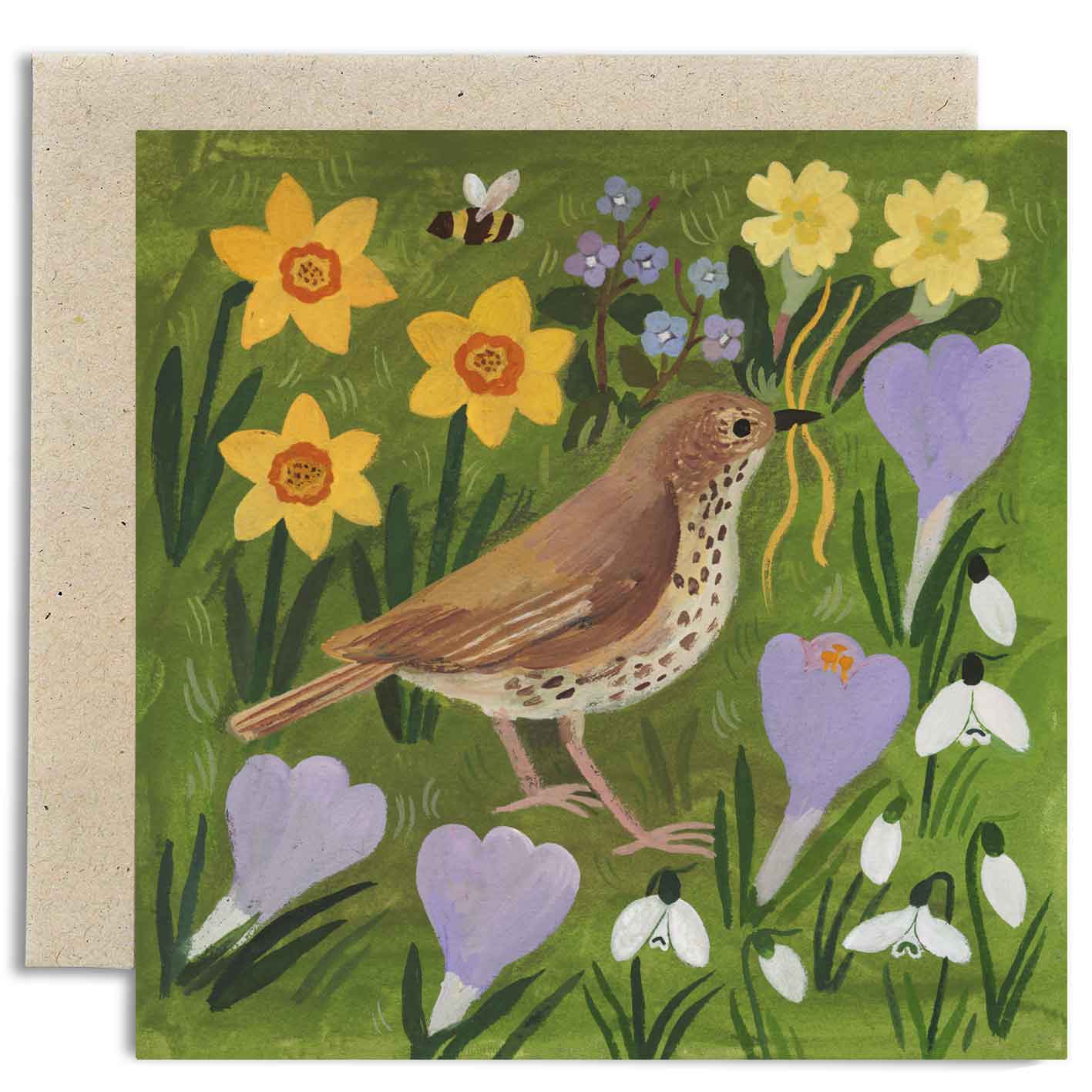 Song Thrush and Spring Flower Card