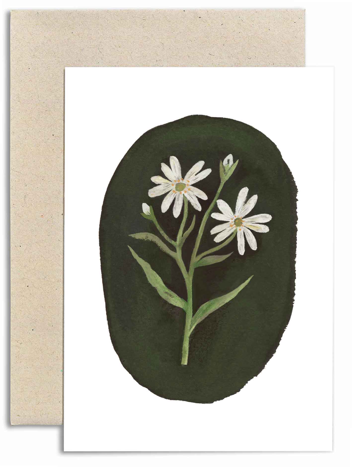 Stitchwort Card