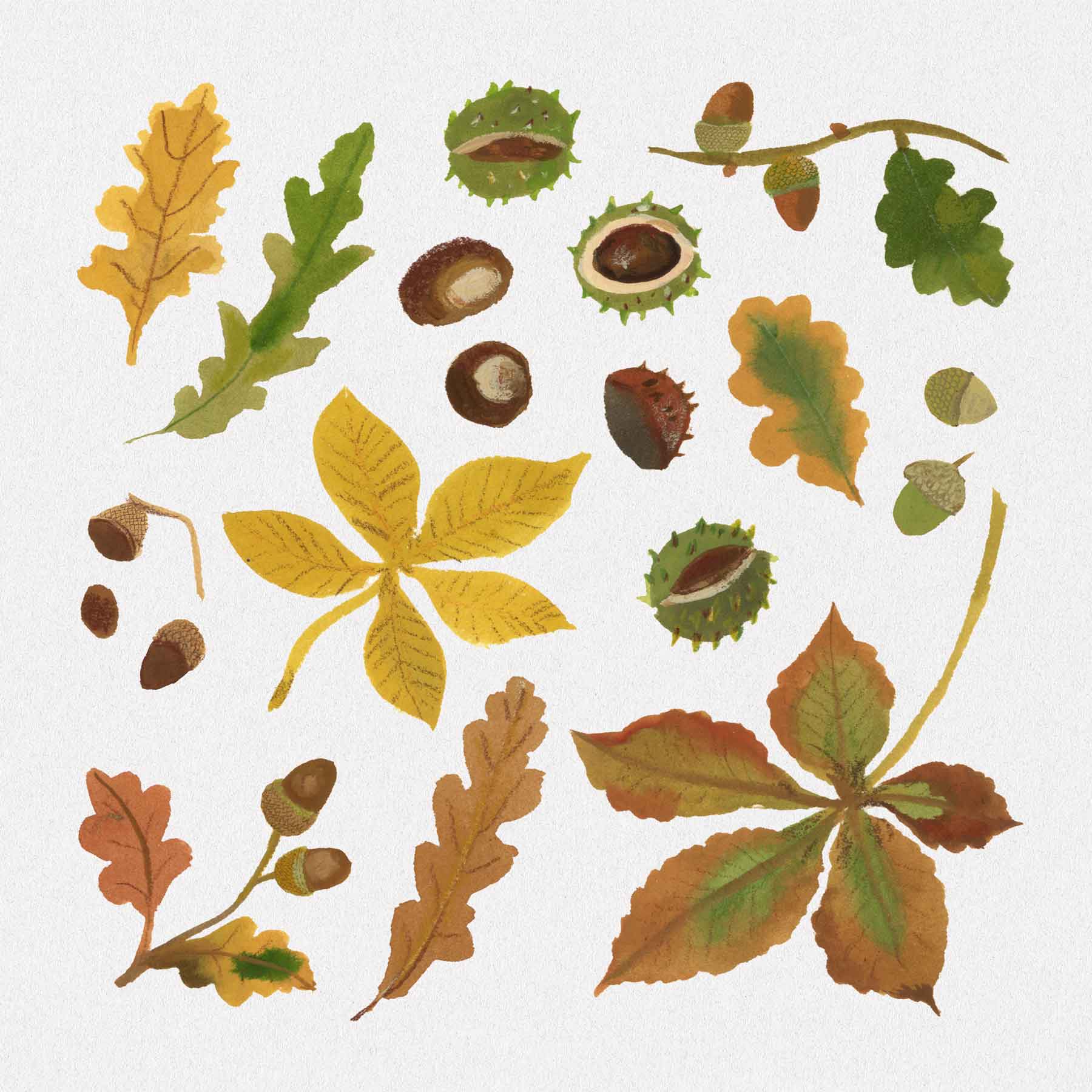 Autumn Finds print