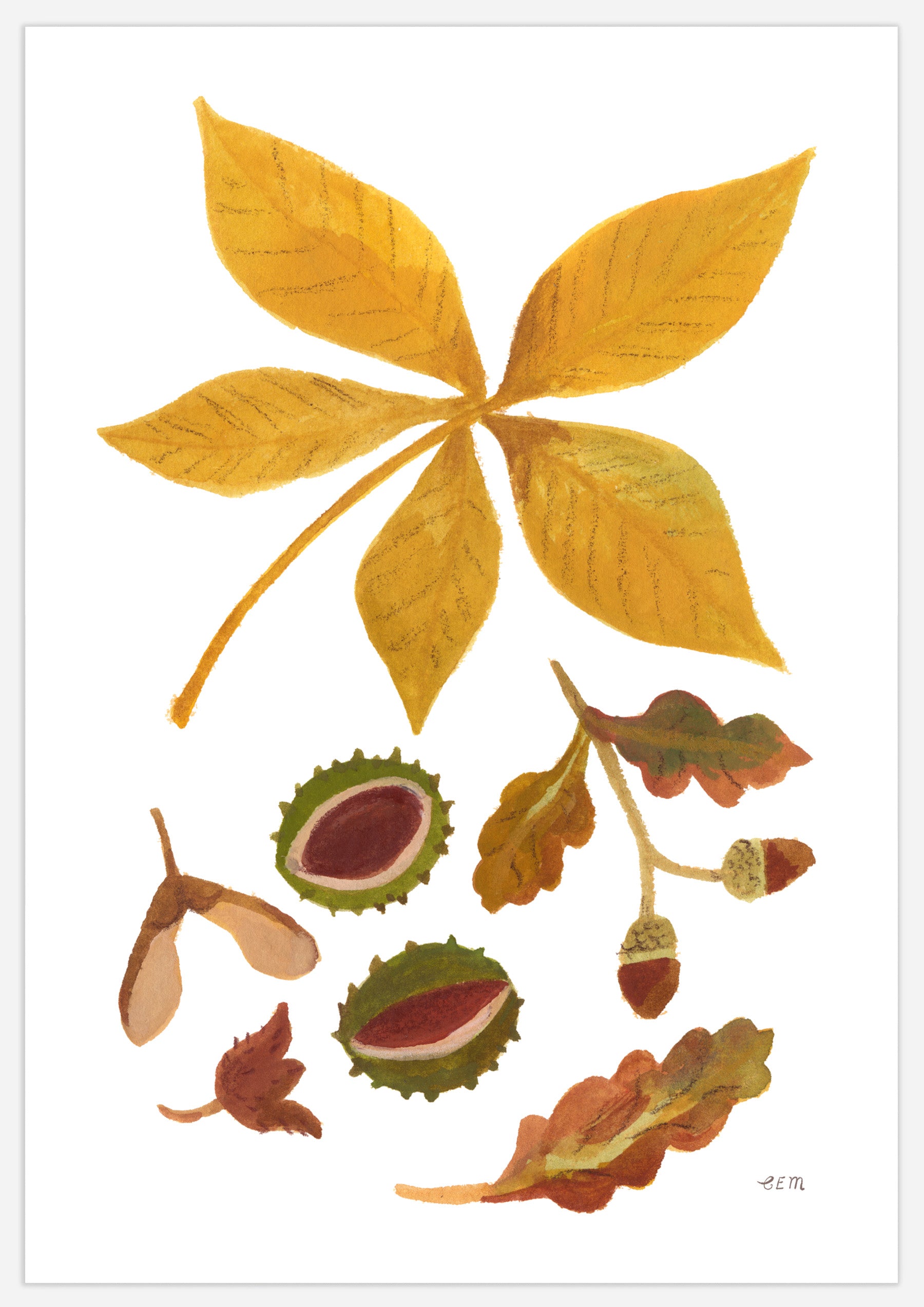 Autumn Leaves and Seeds Print