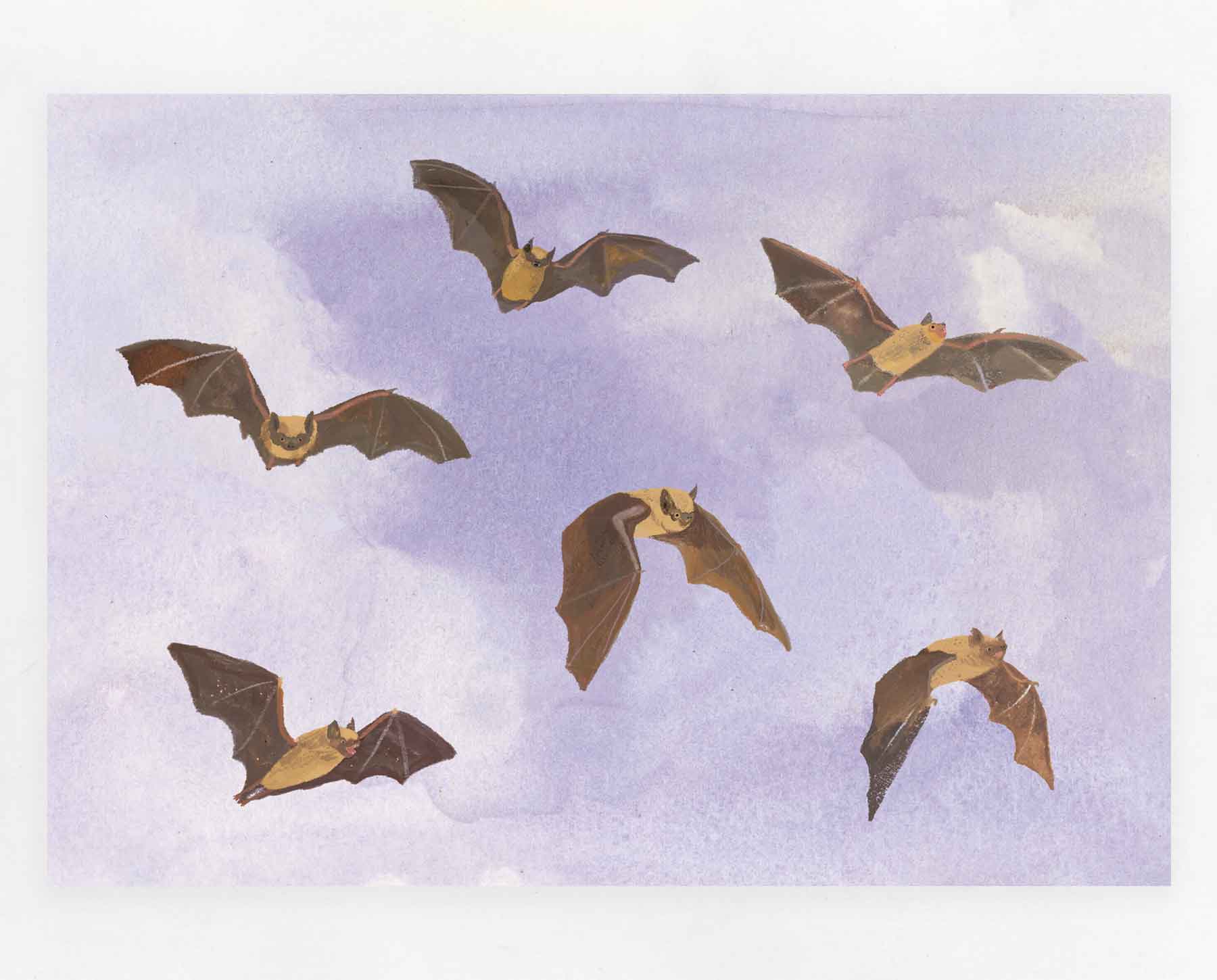 Bats print